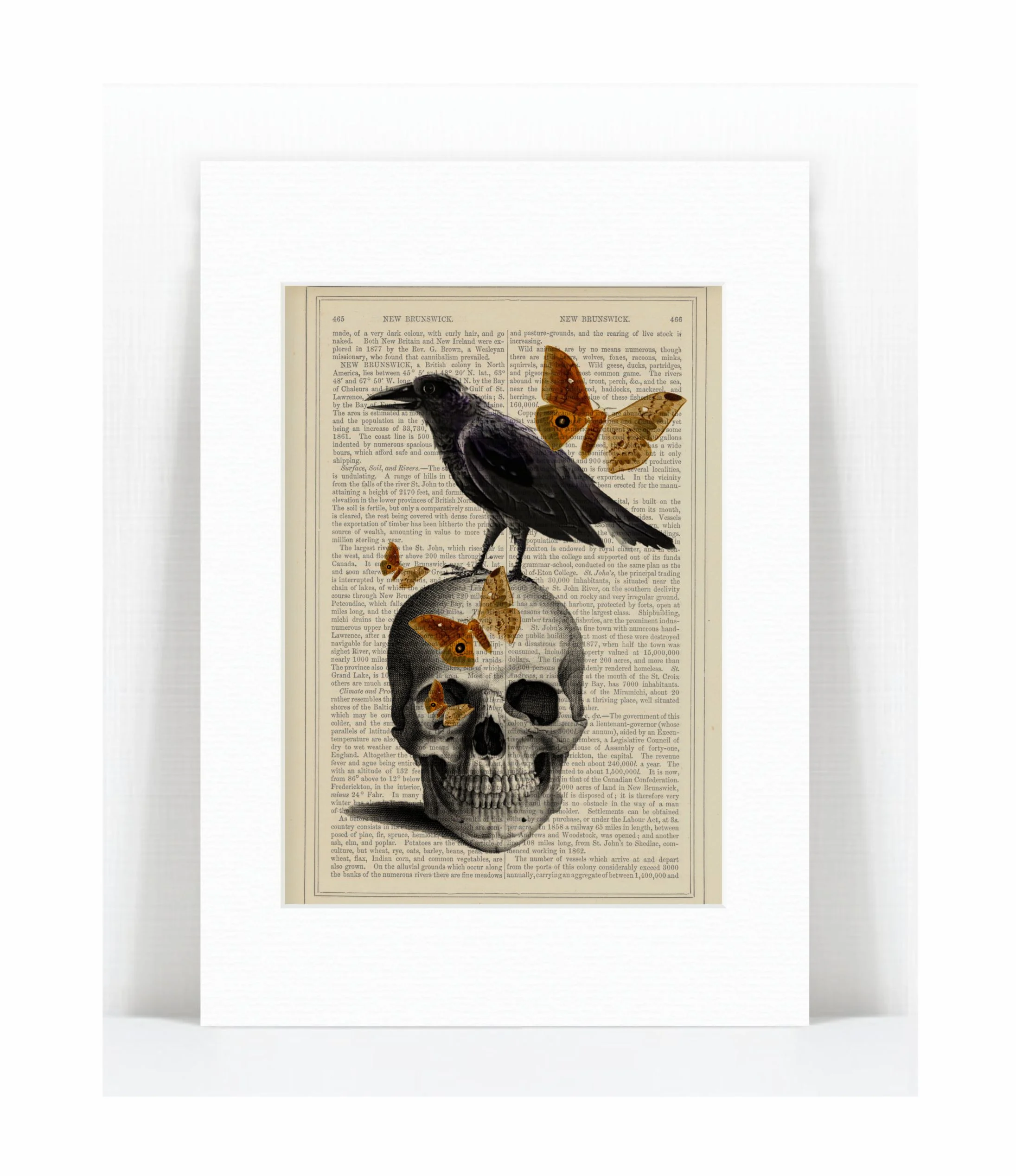skull  raven butterflies.jpg