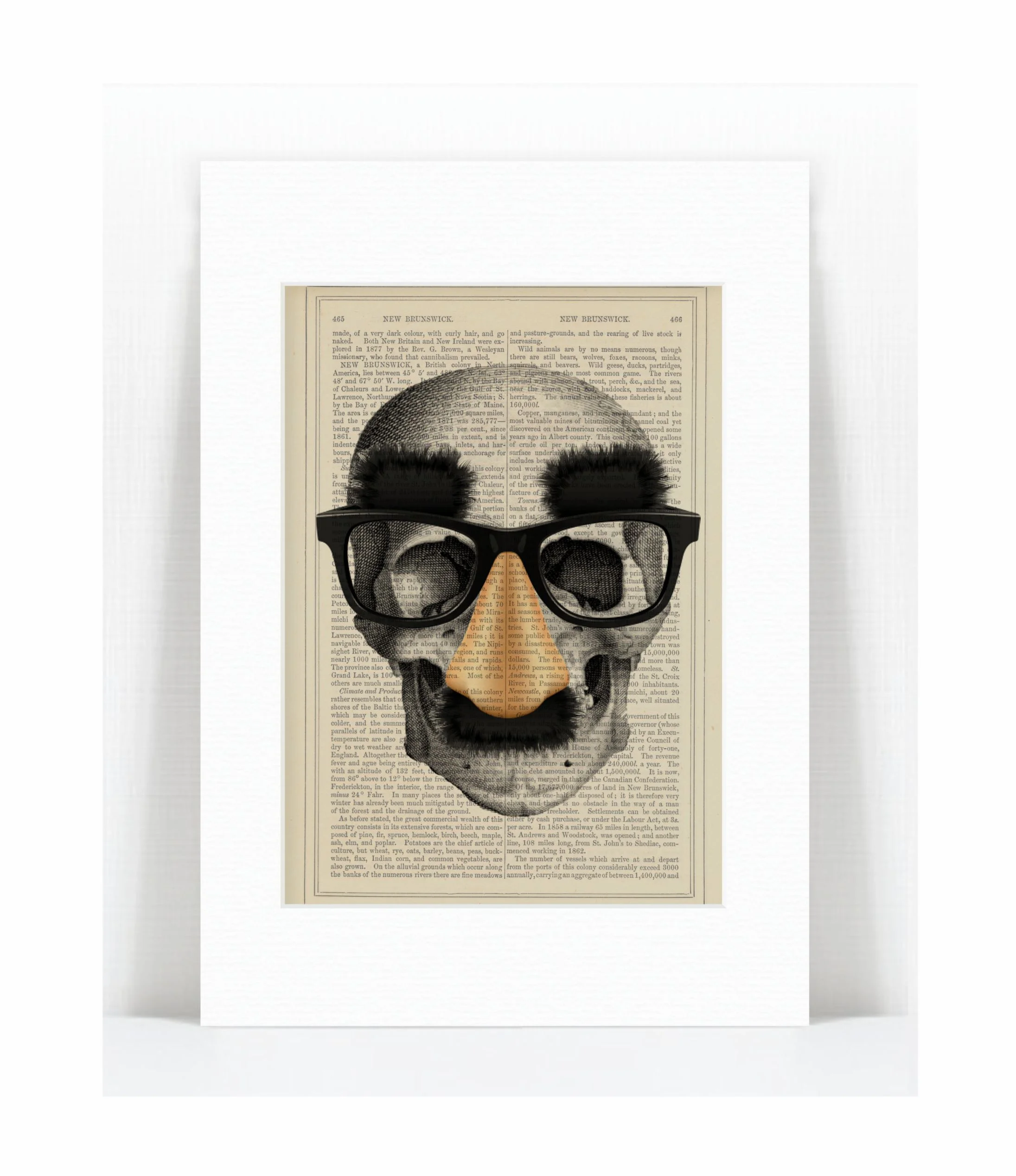 skull groucho mask.jpg