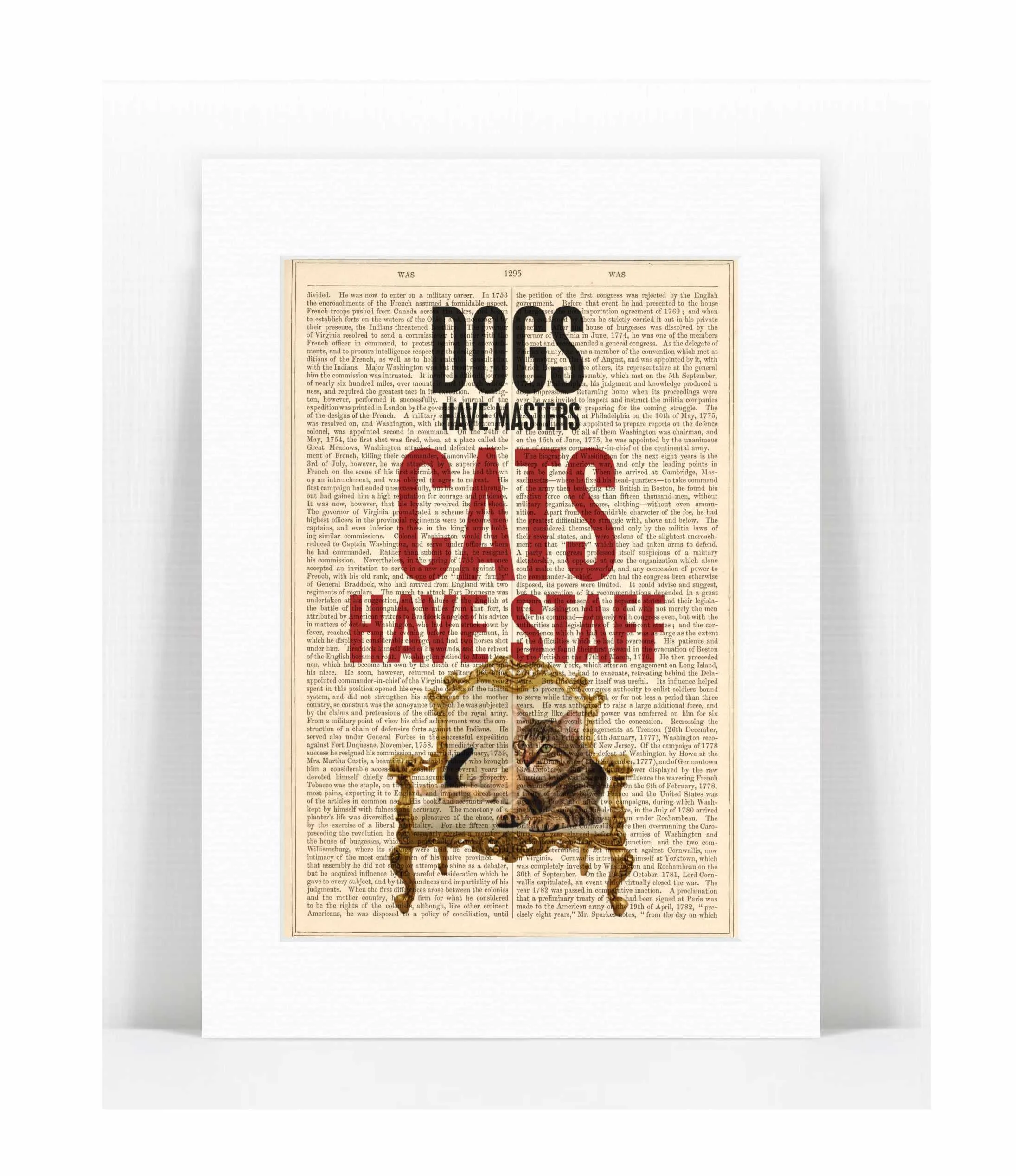 cat staff.jpg