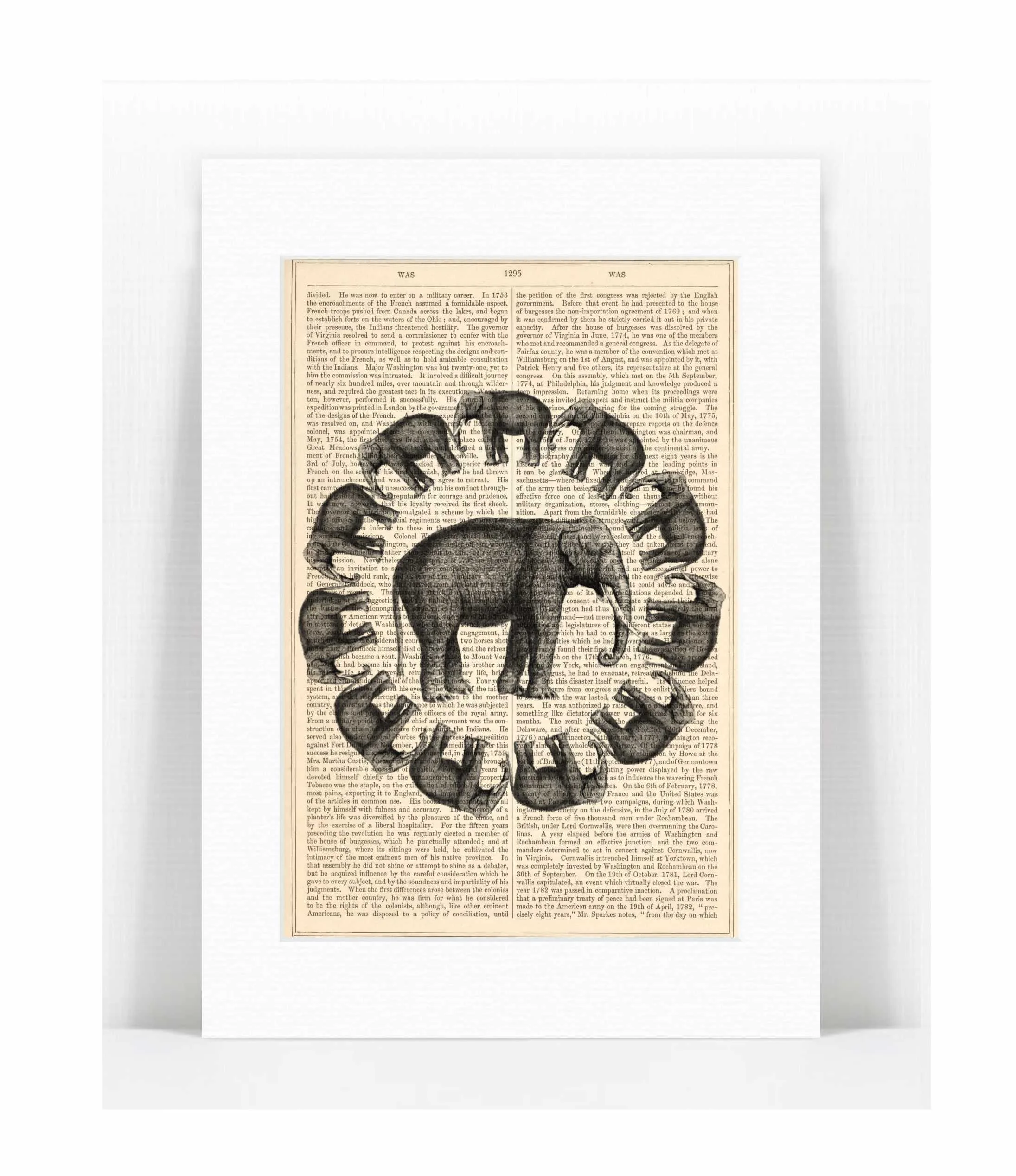 elephant circle mono.jpg