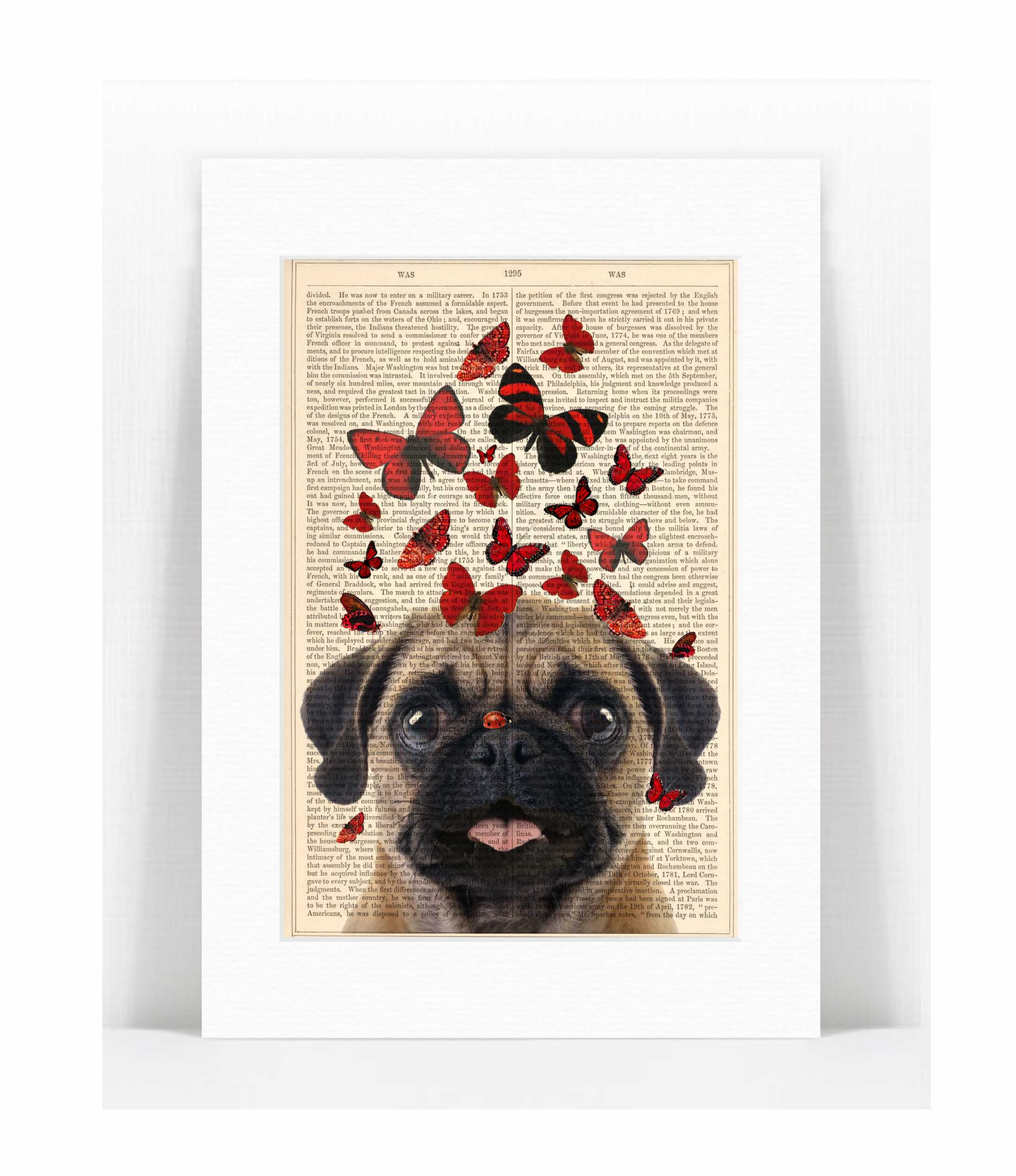 pug butterflies.jpg