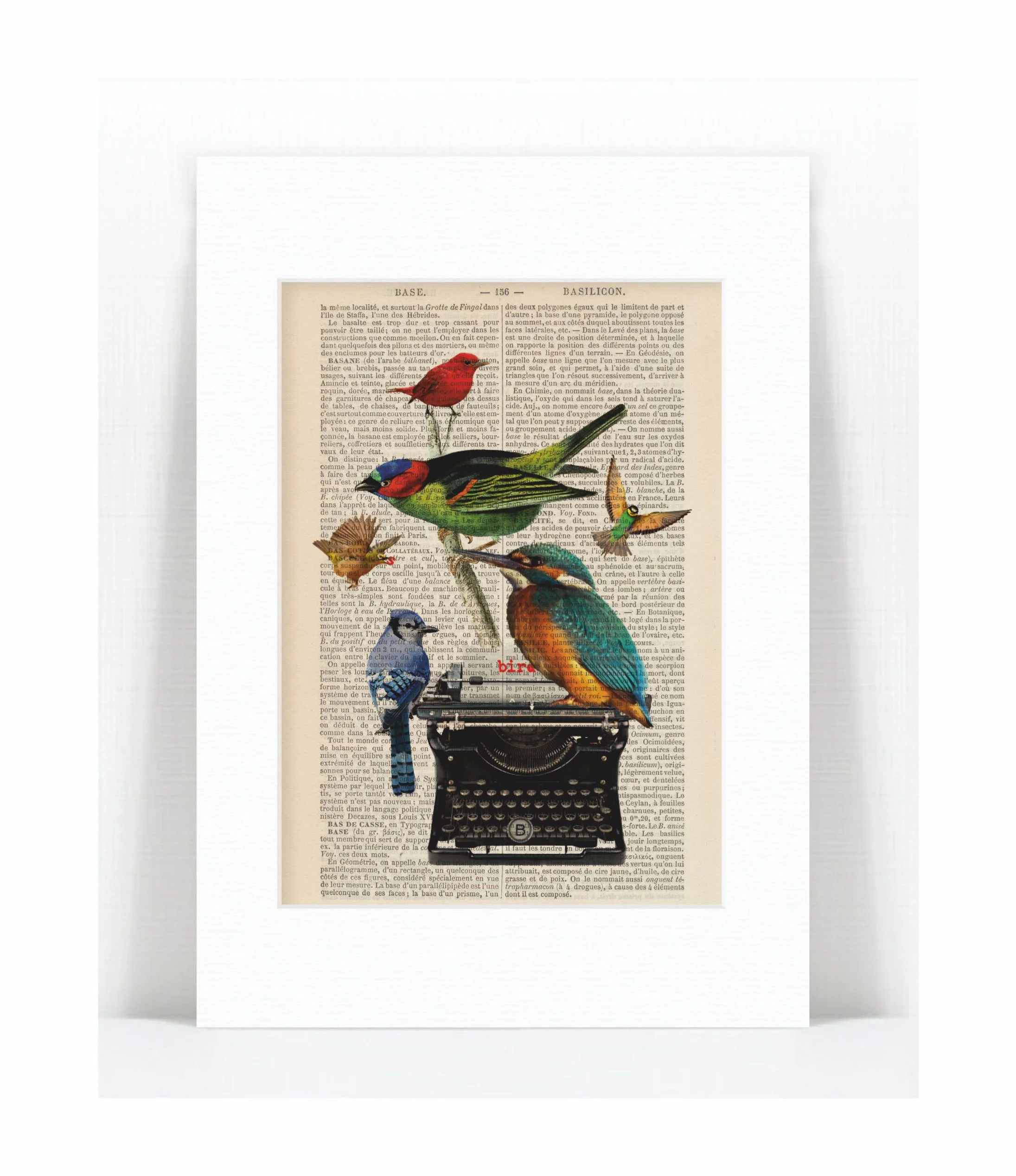 bird typewriter.jpg
