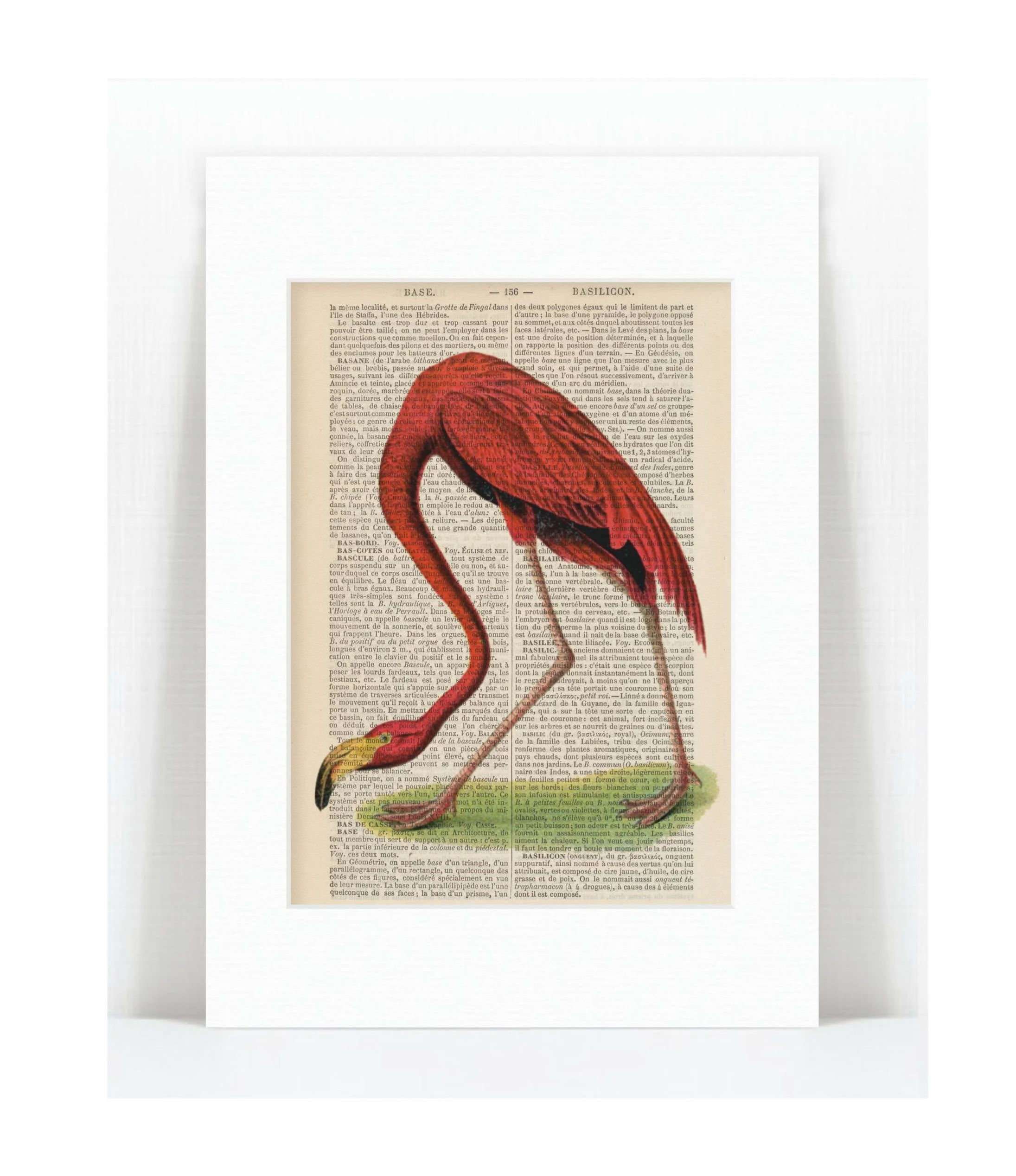 flamingo.jpg