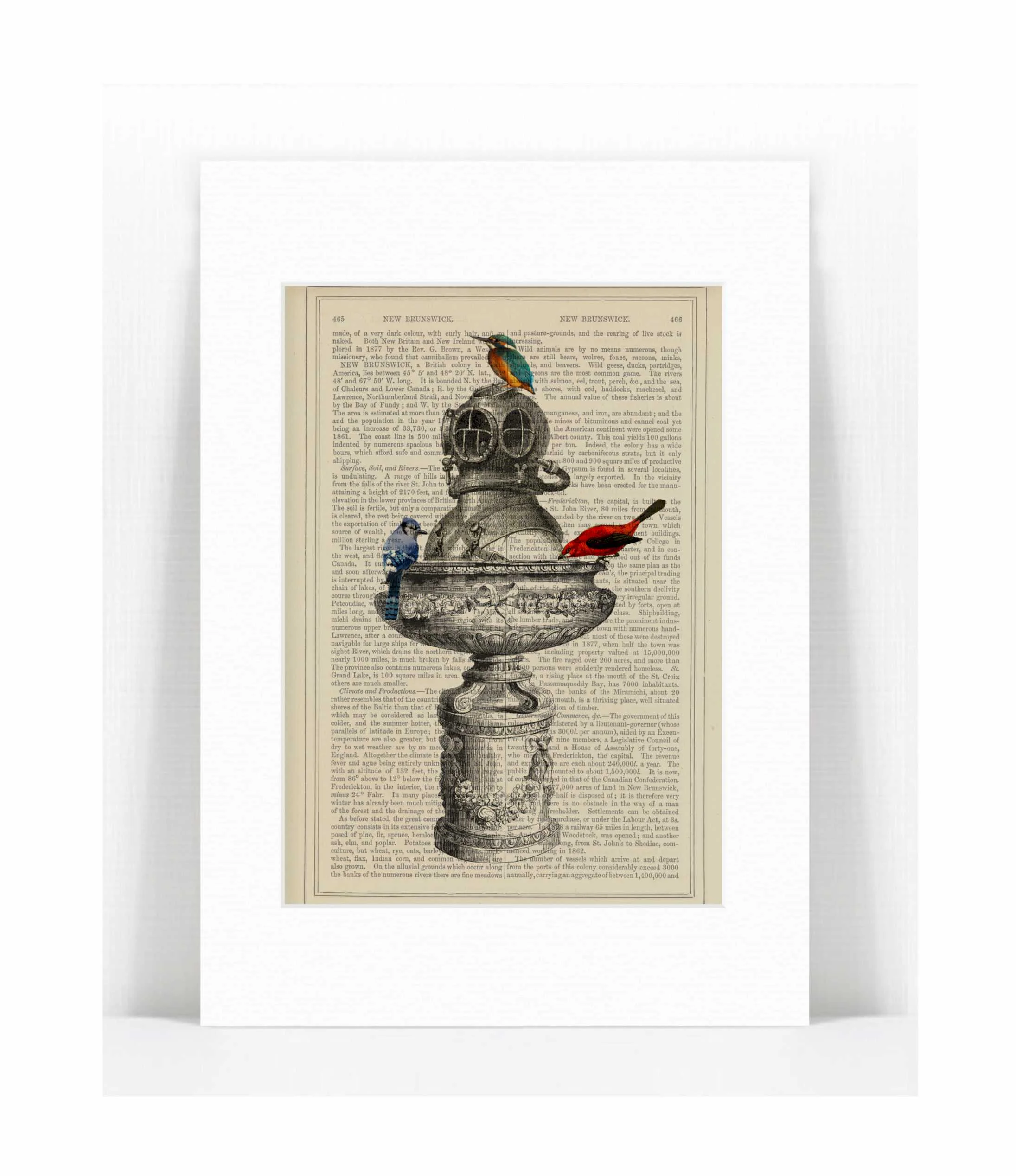 birdbath.jpg