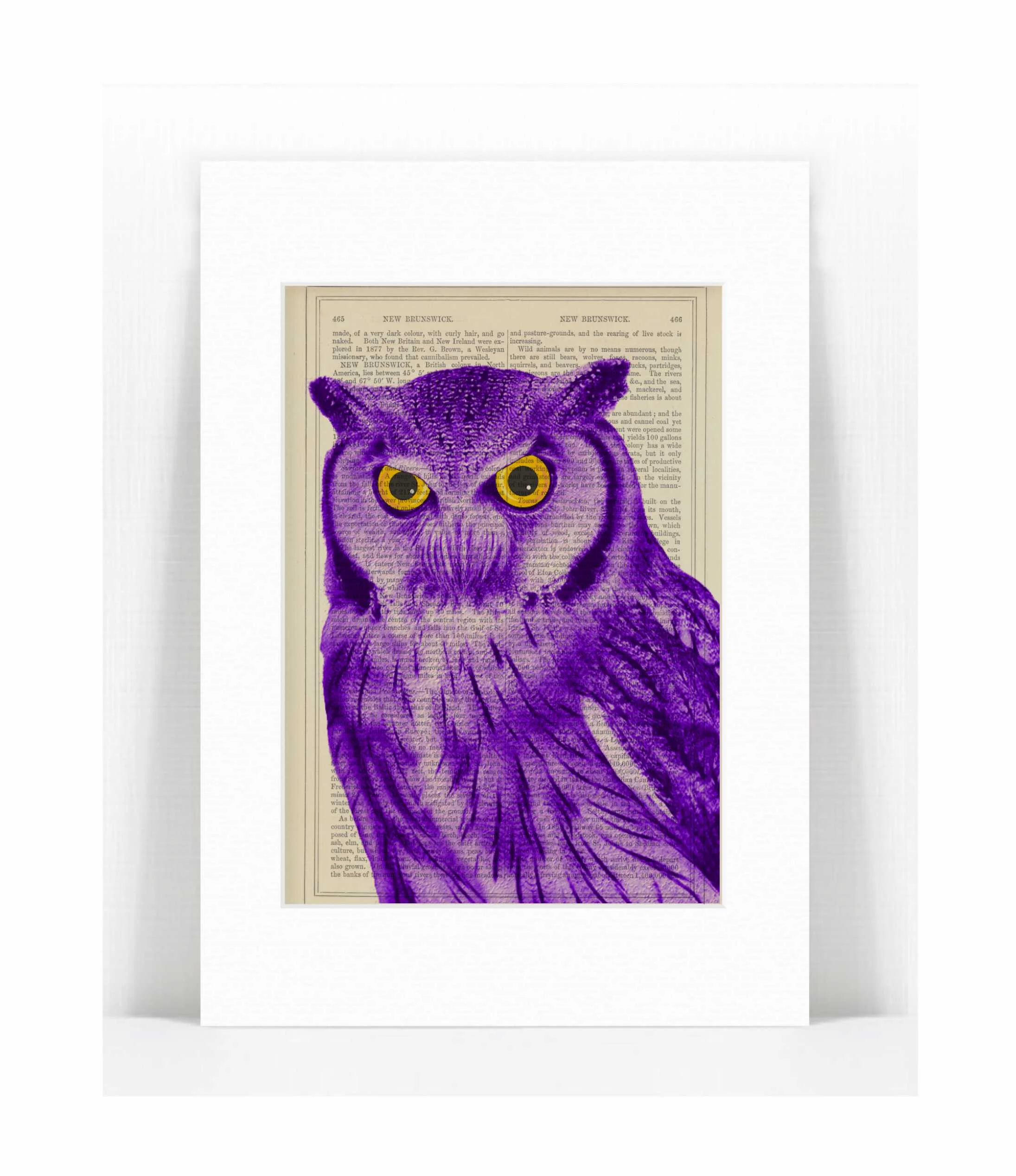 Purple Owl Yellow Eyes Print