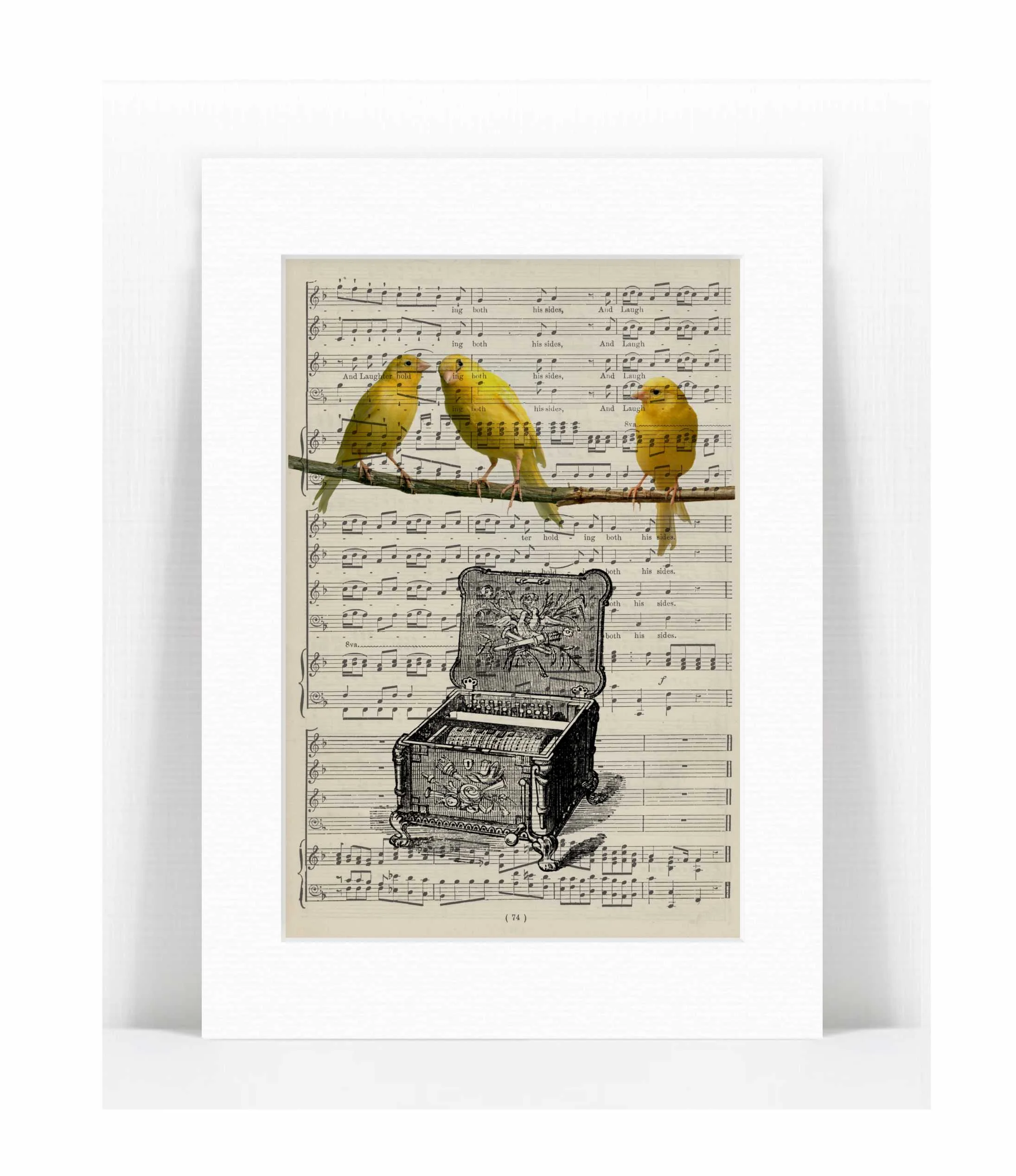bird musicbox.jpg