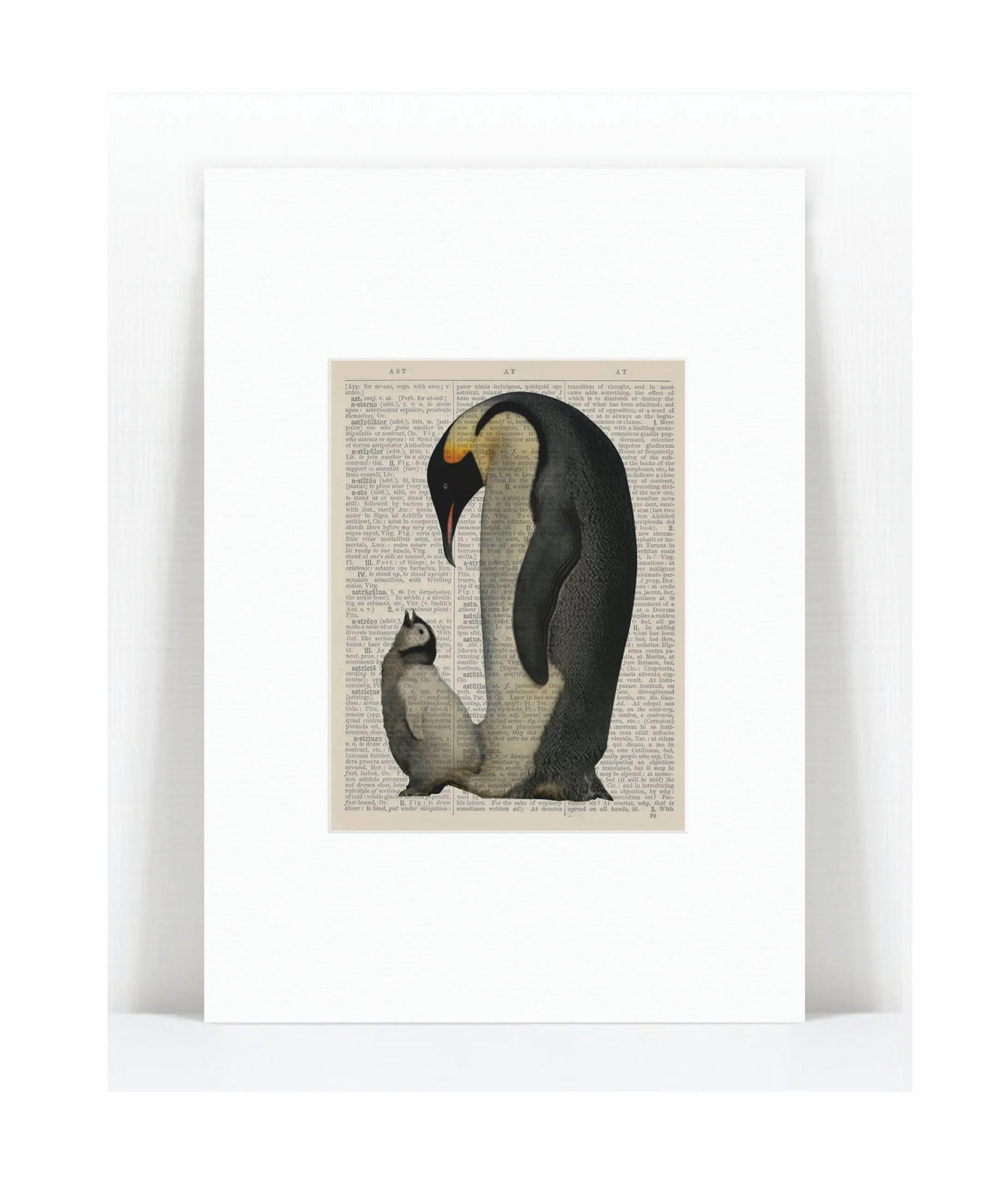 emperor penguin.jpg