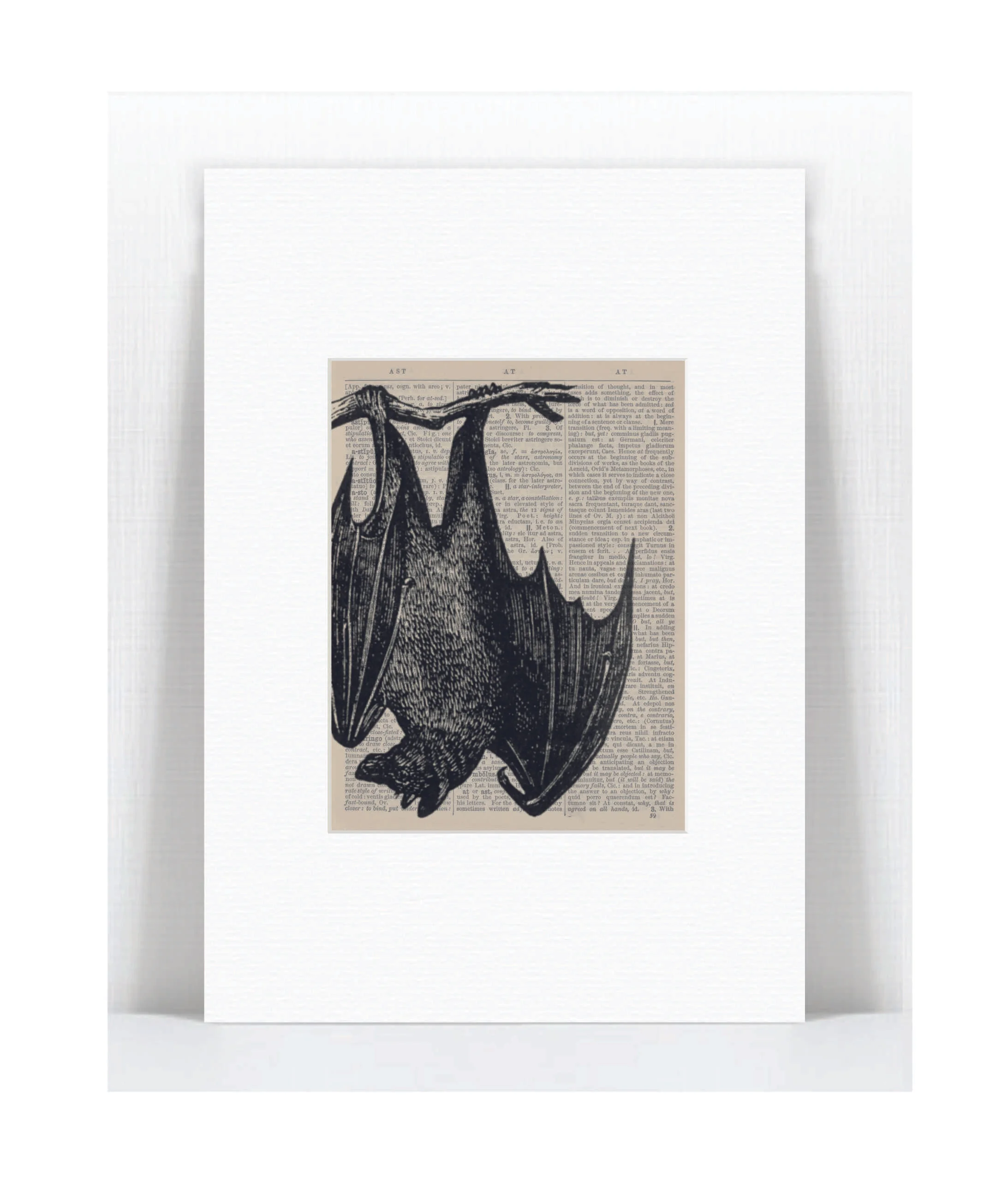 fruit bat.jpg
