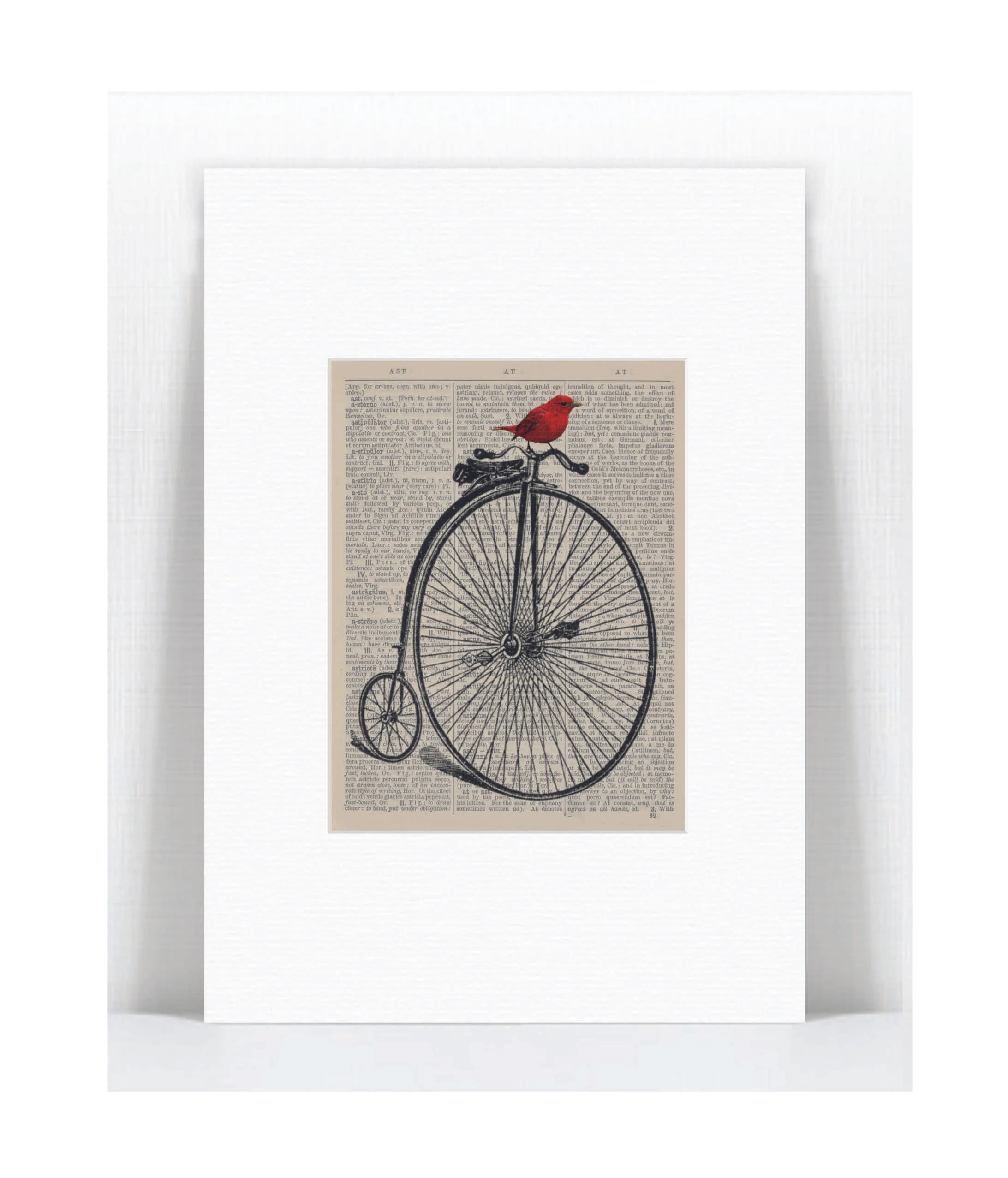 red bird penny fathing bike.jpg