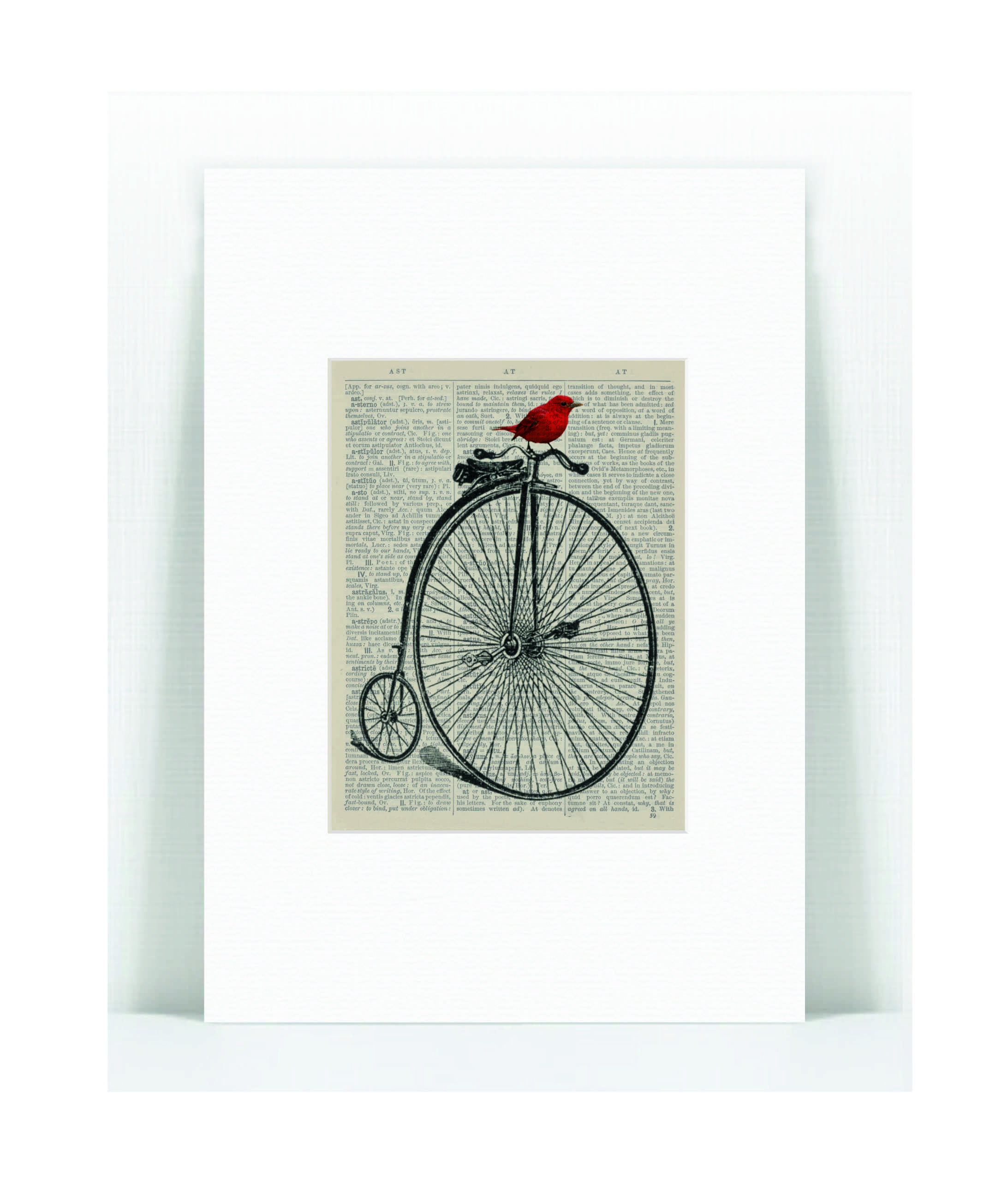 red bird penny fathing bike.jpg