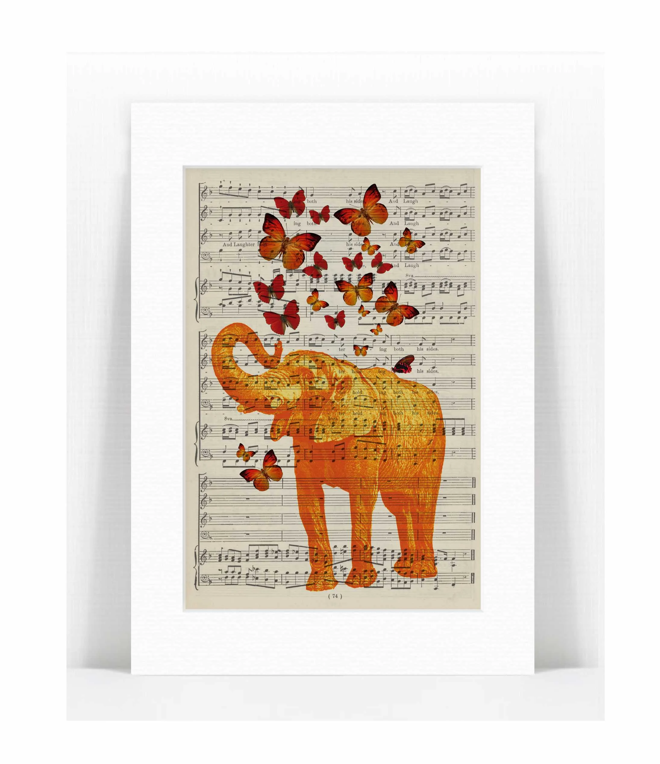 orange elephant butterflies.jpg