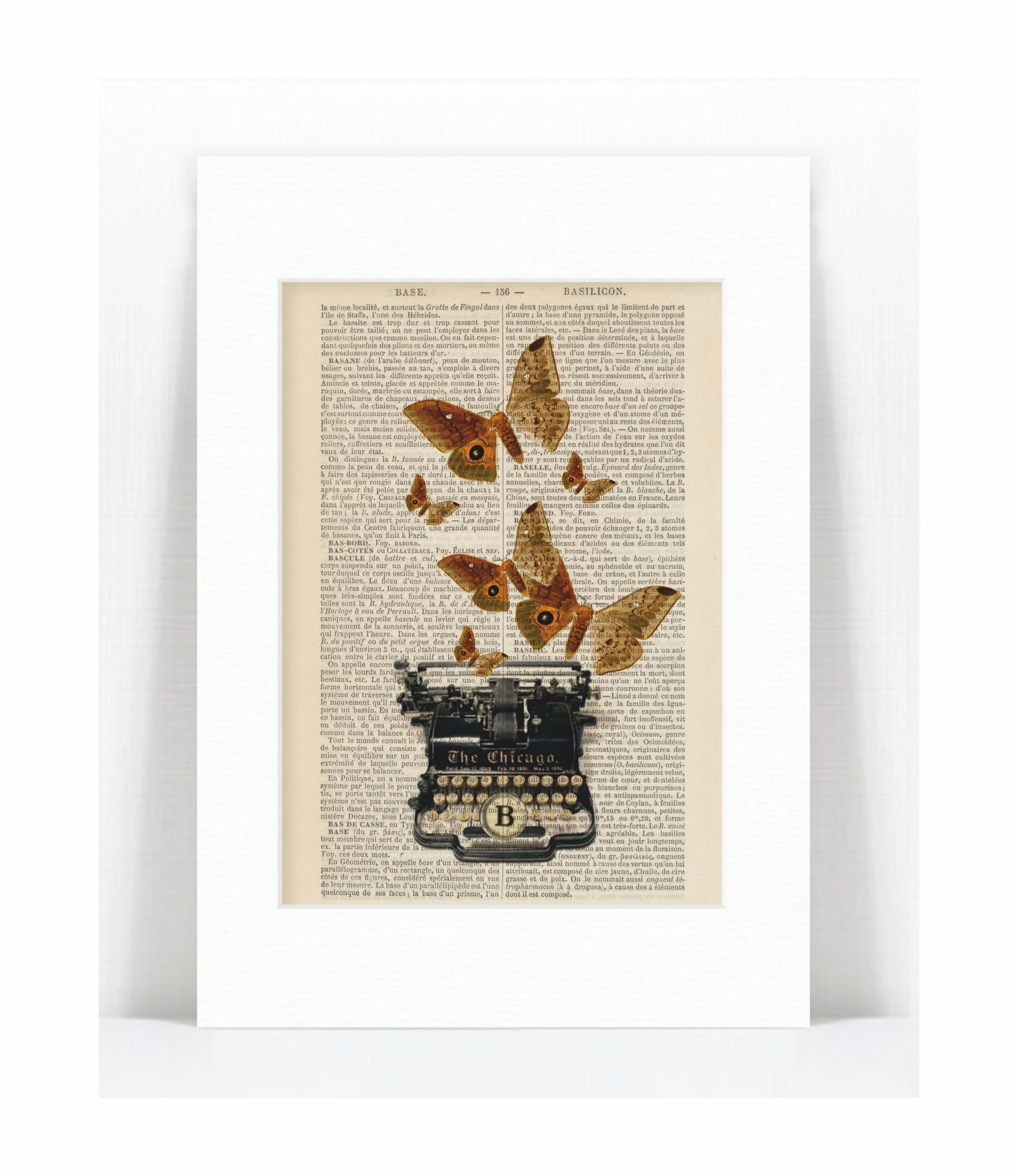 antique typewriter butterflies.jpg