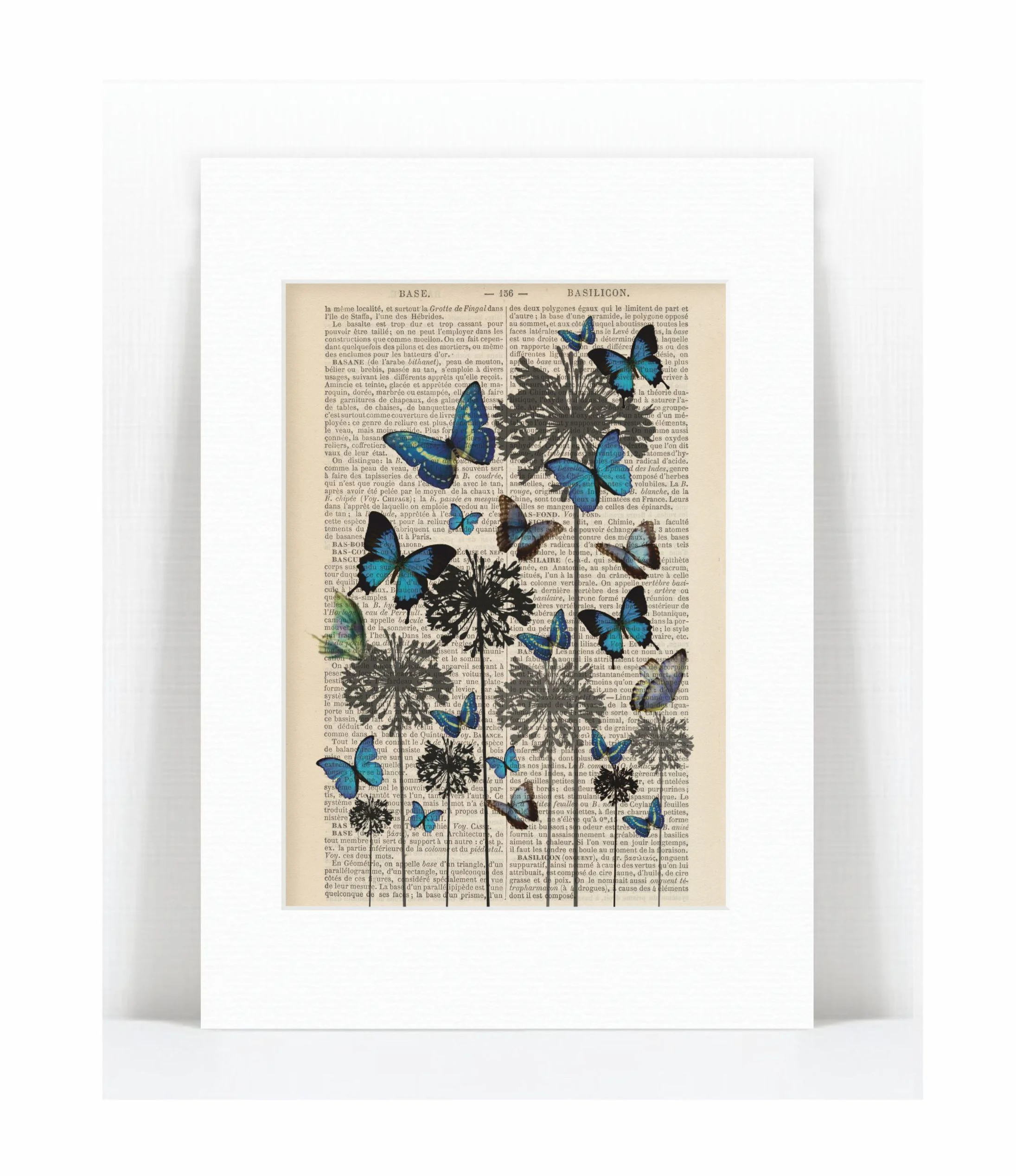 blue flowers butterflies.jpg