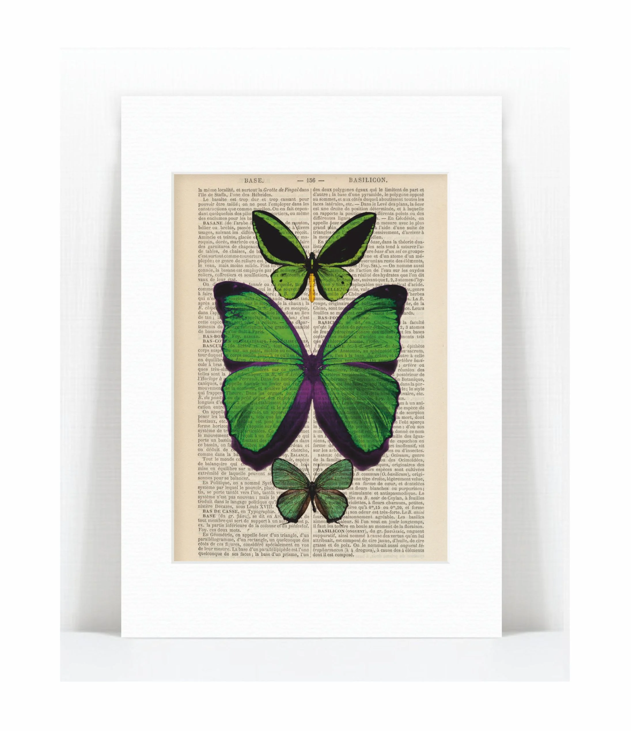 green butterflies.jpg
