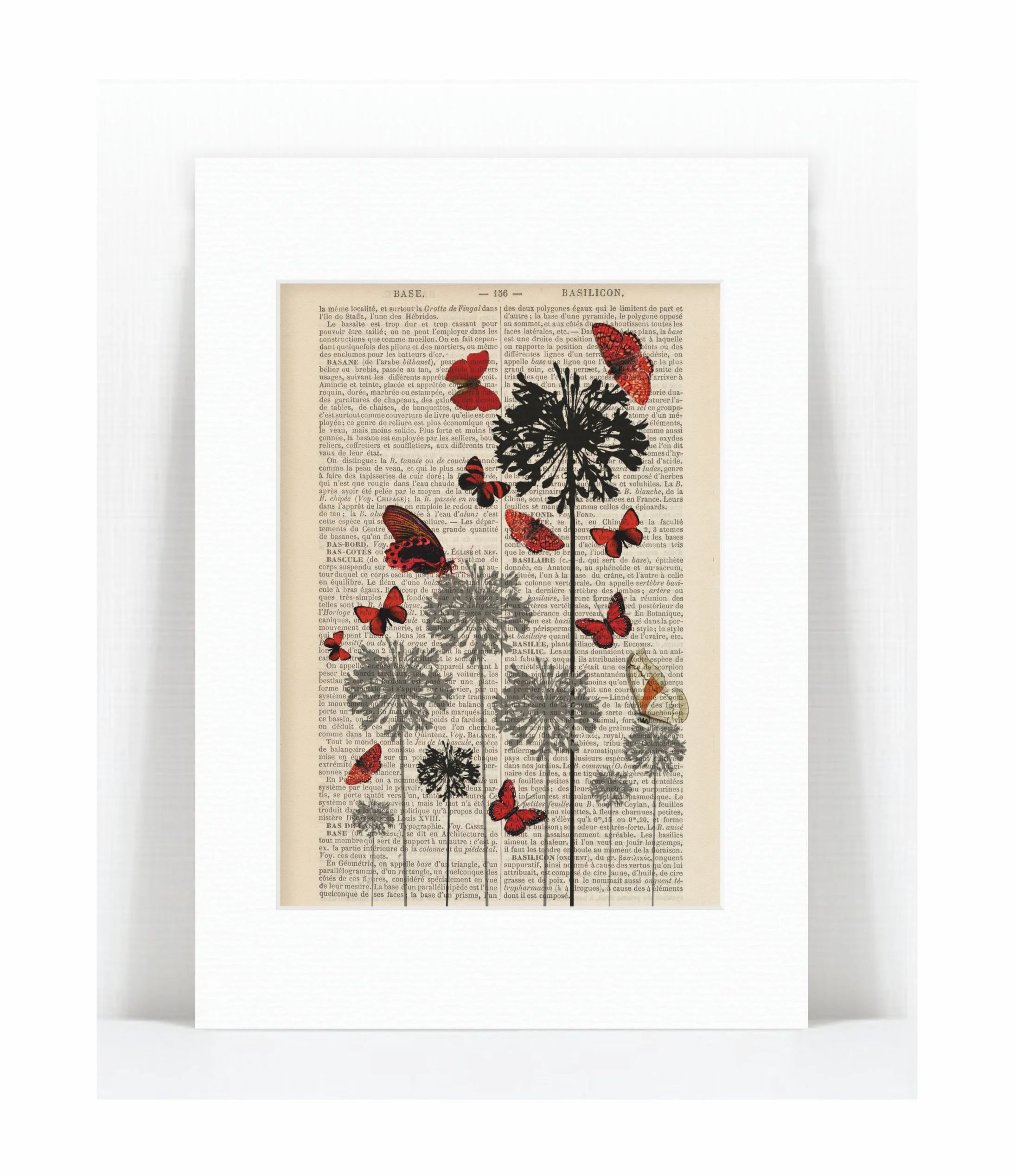 red black flowers butterflies.jpg