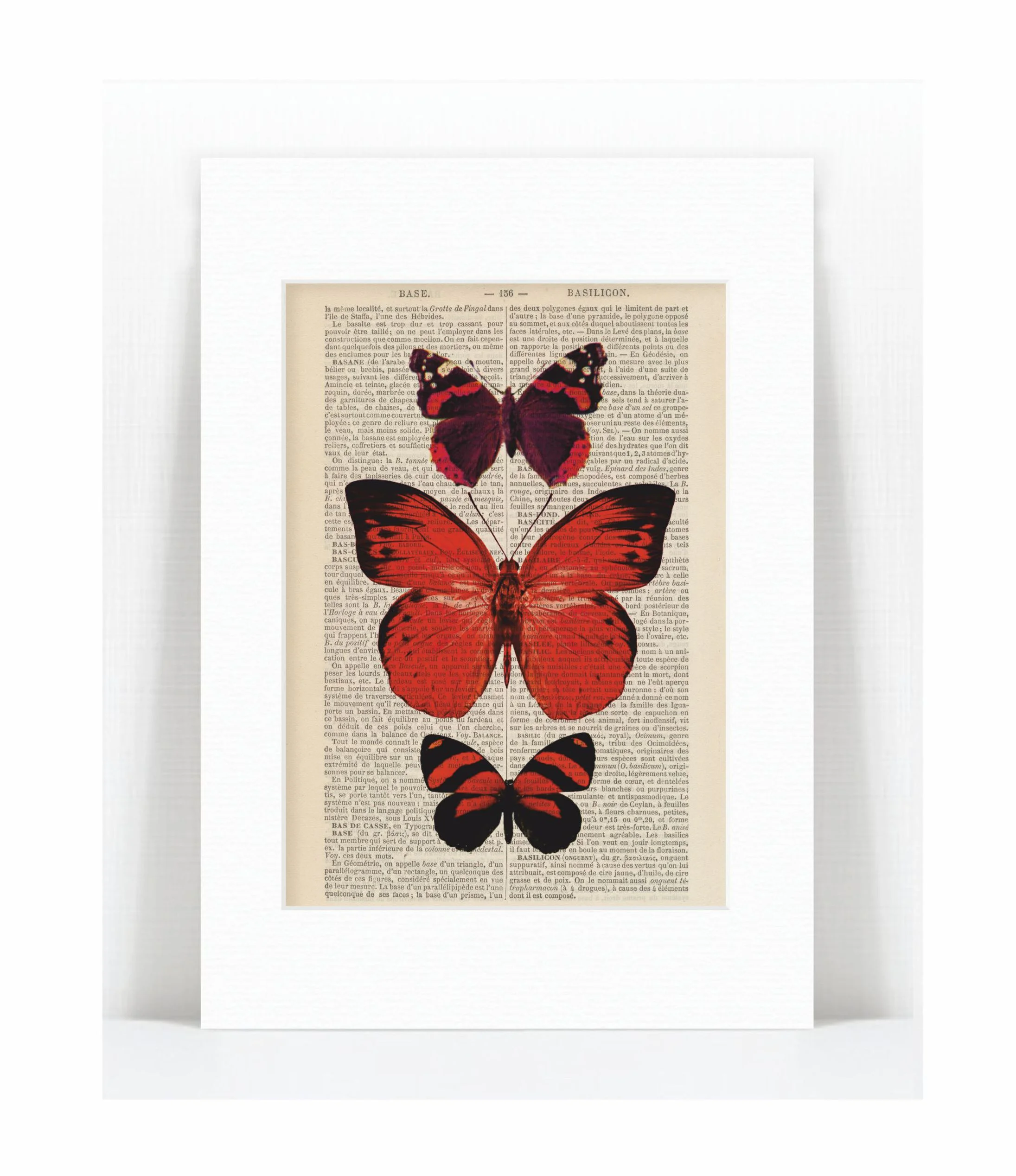 red butterflies.jpg