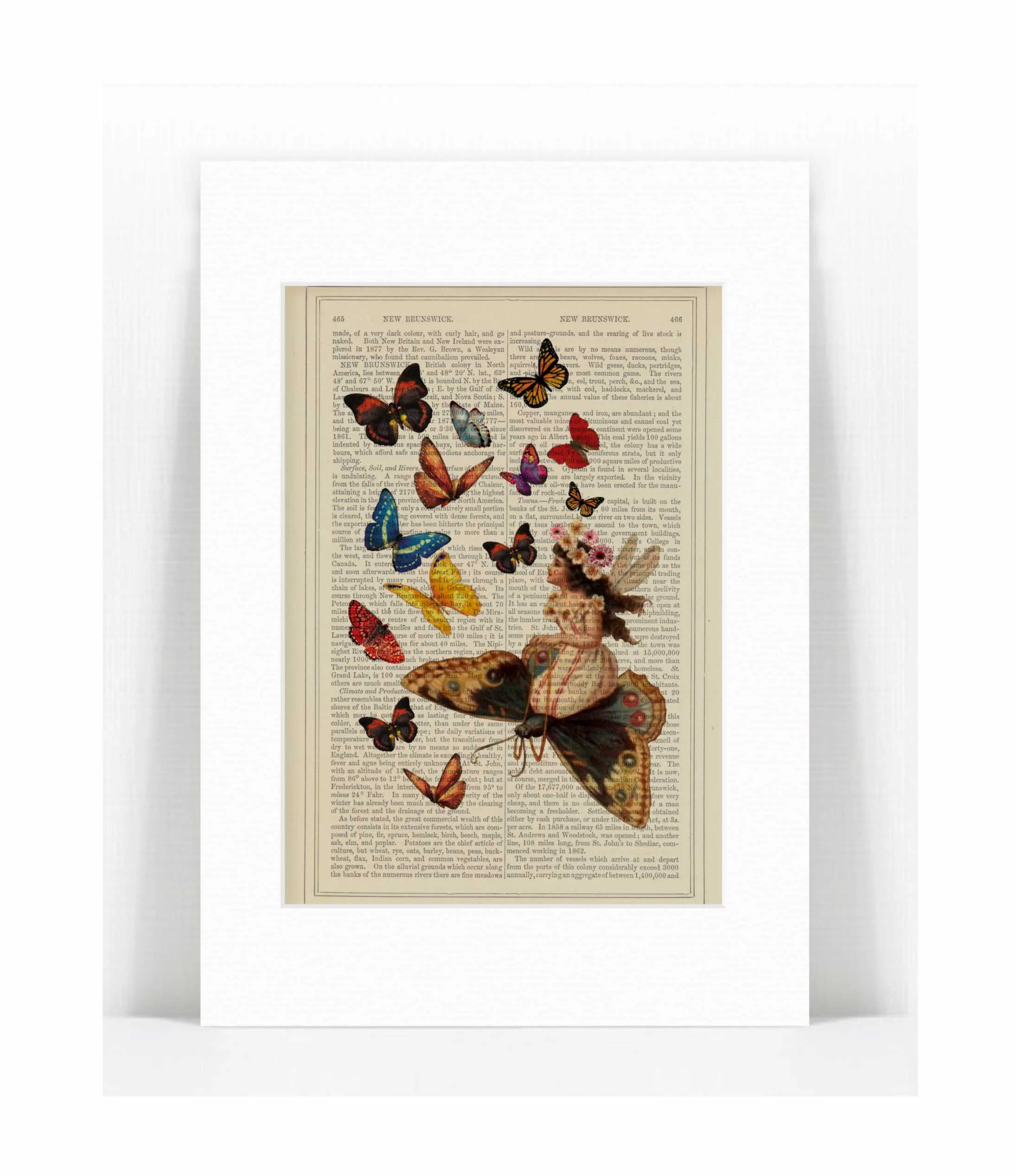 fairy butterflies.jpg