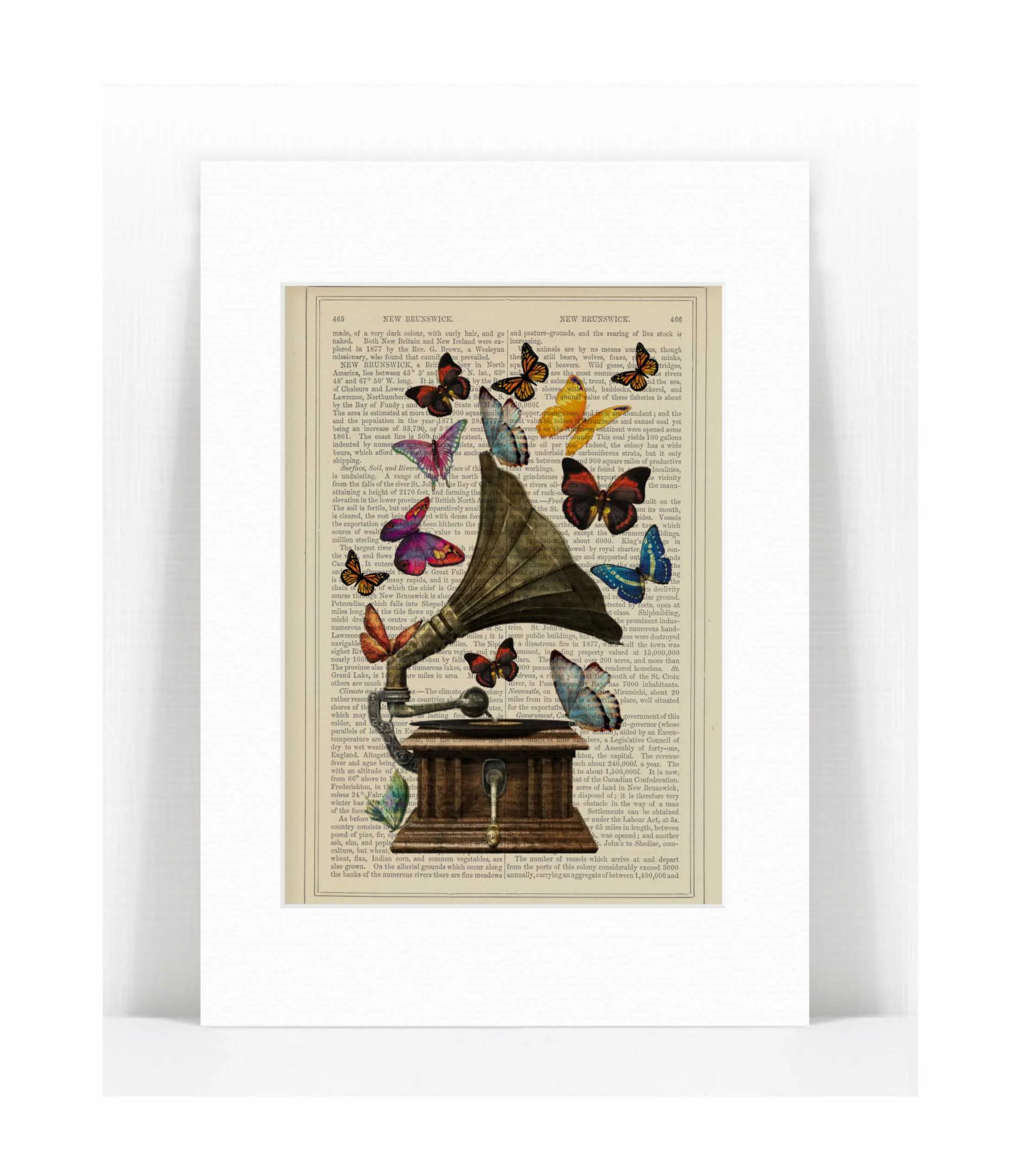 gramophone butterflies.jpg
