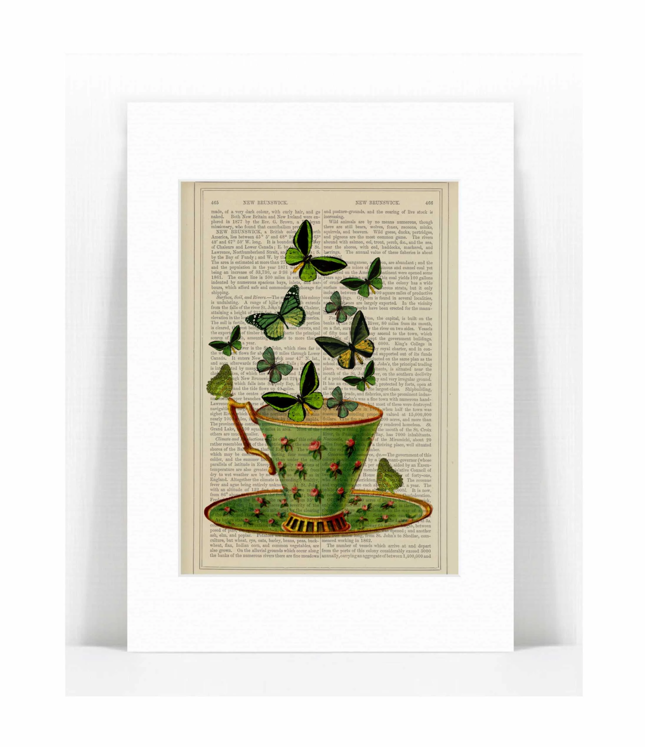 green cup green butterflies.jpg
