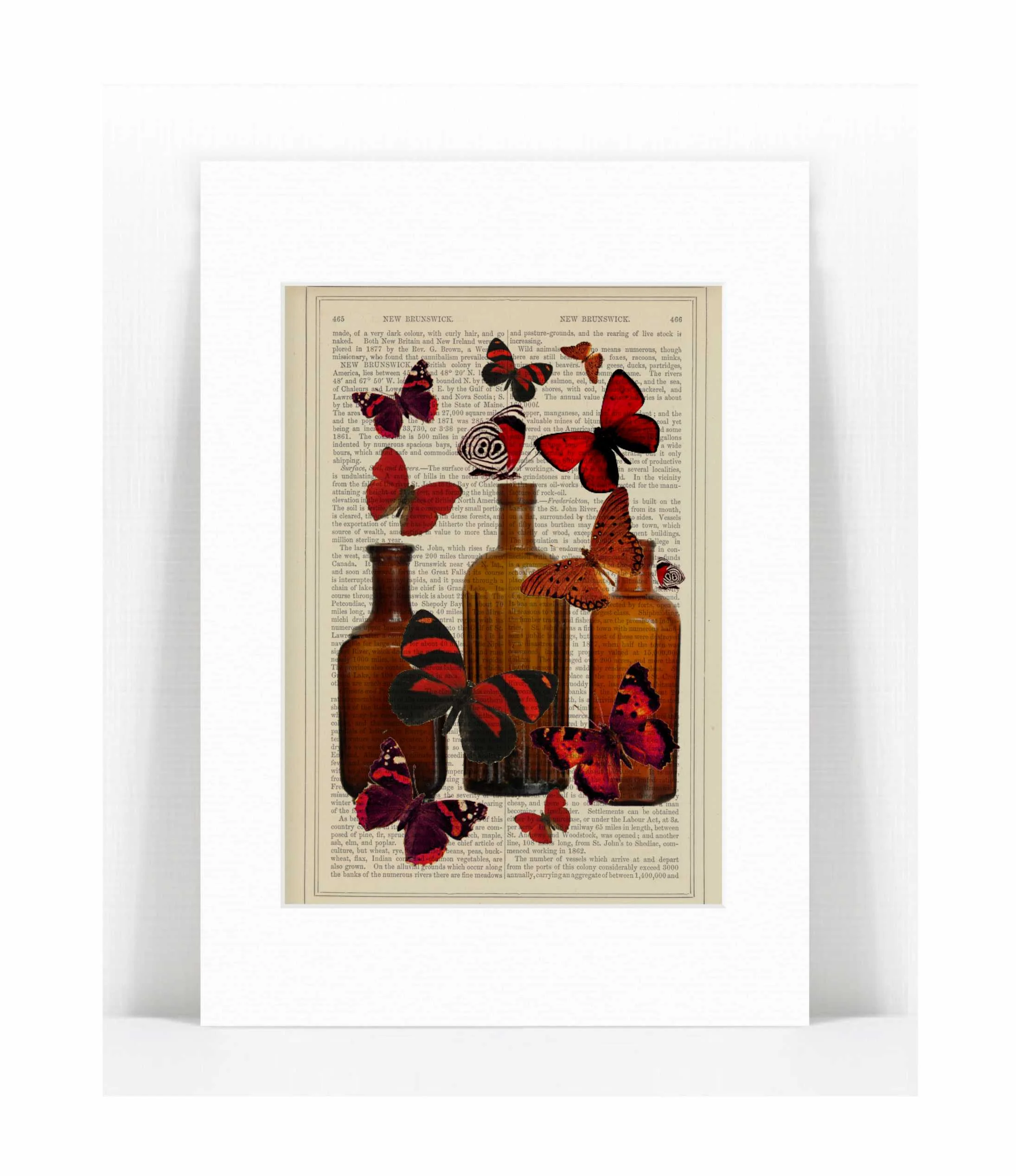 red bottles red butterflies.jpg