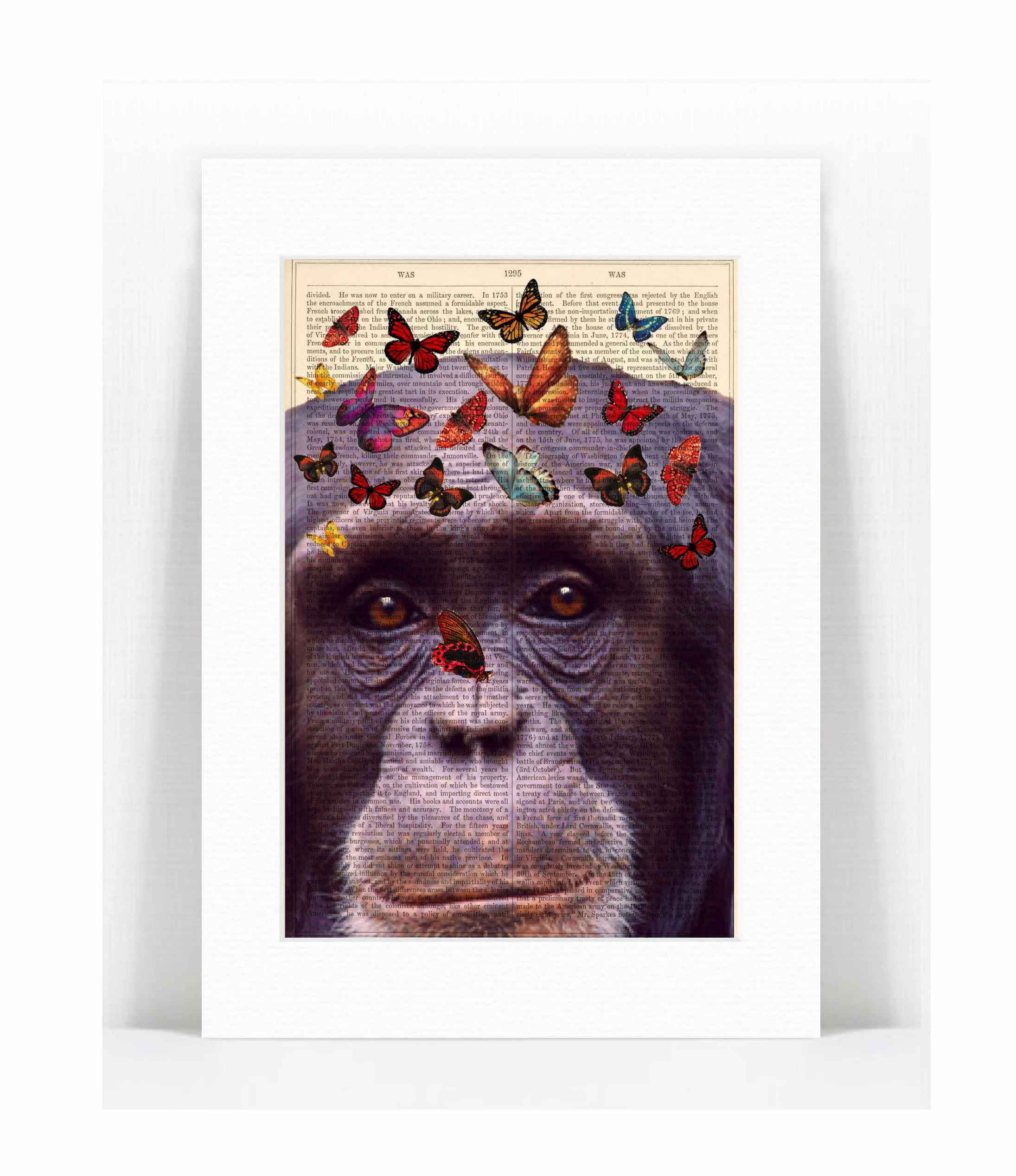 chimp head with butterflies.jpg