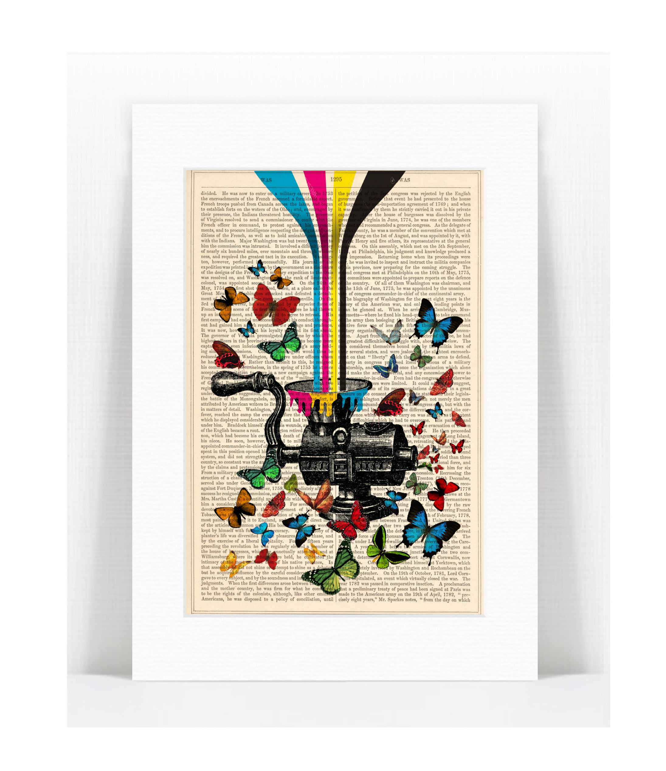 mincer colourful butterflies.jpg