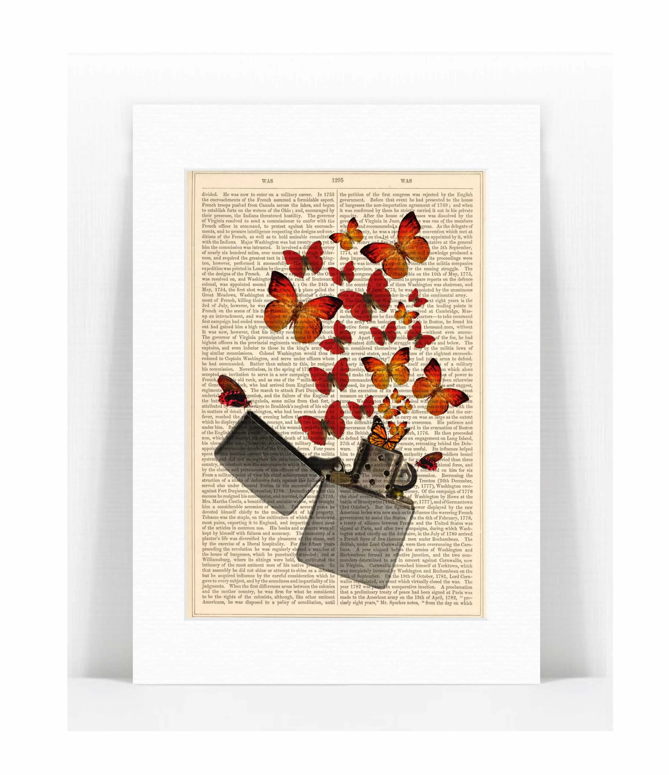 zippo lighter orange butterflies.jpg
