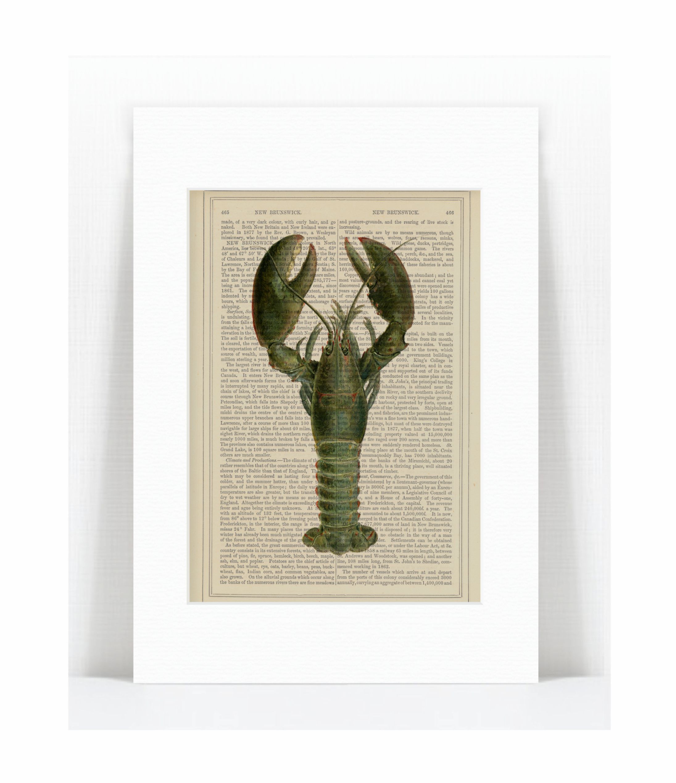 lobster.jpg