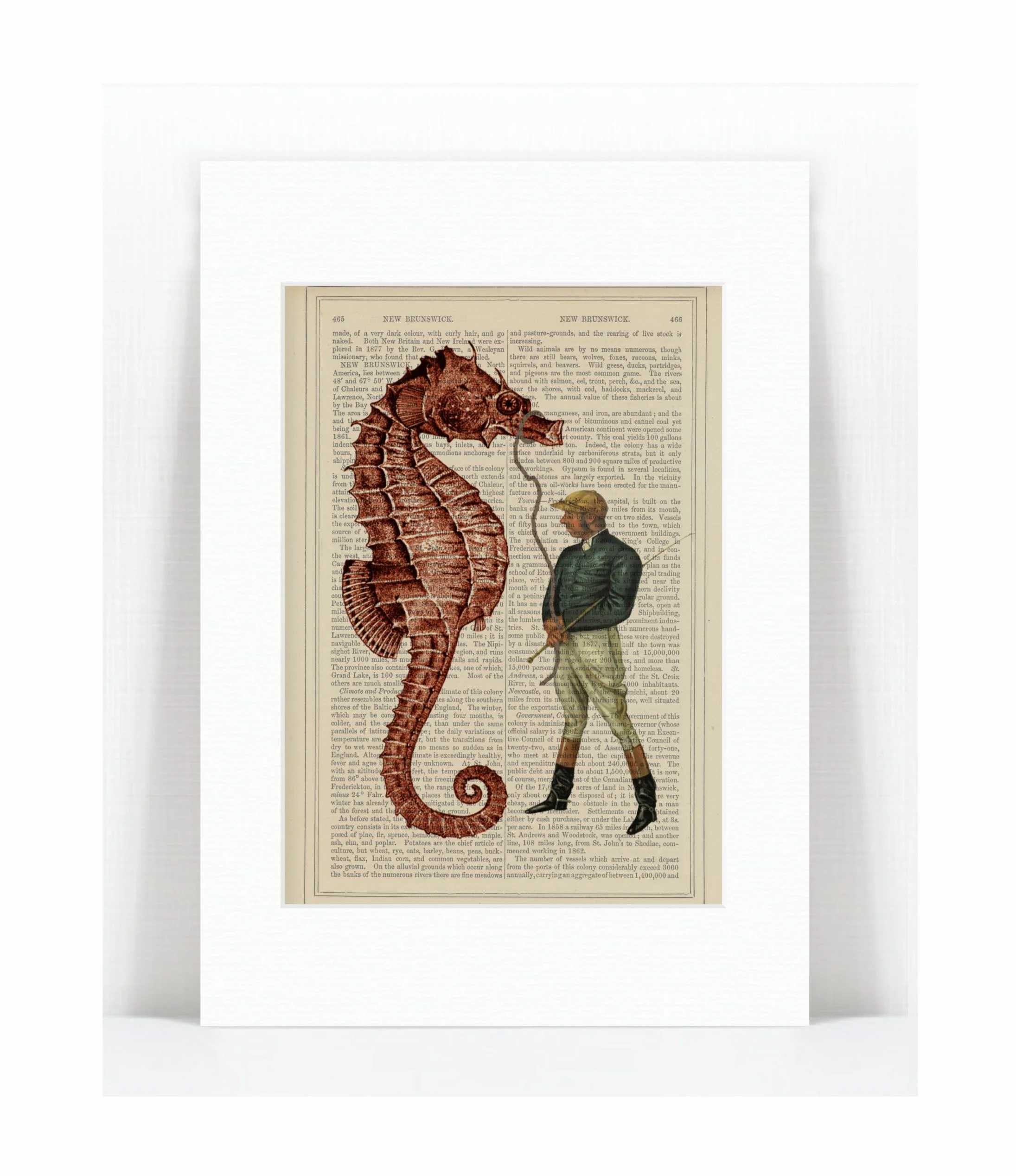 sea horse and jockey.jpg