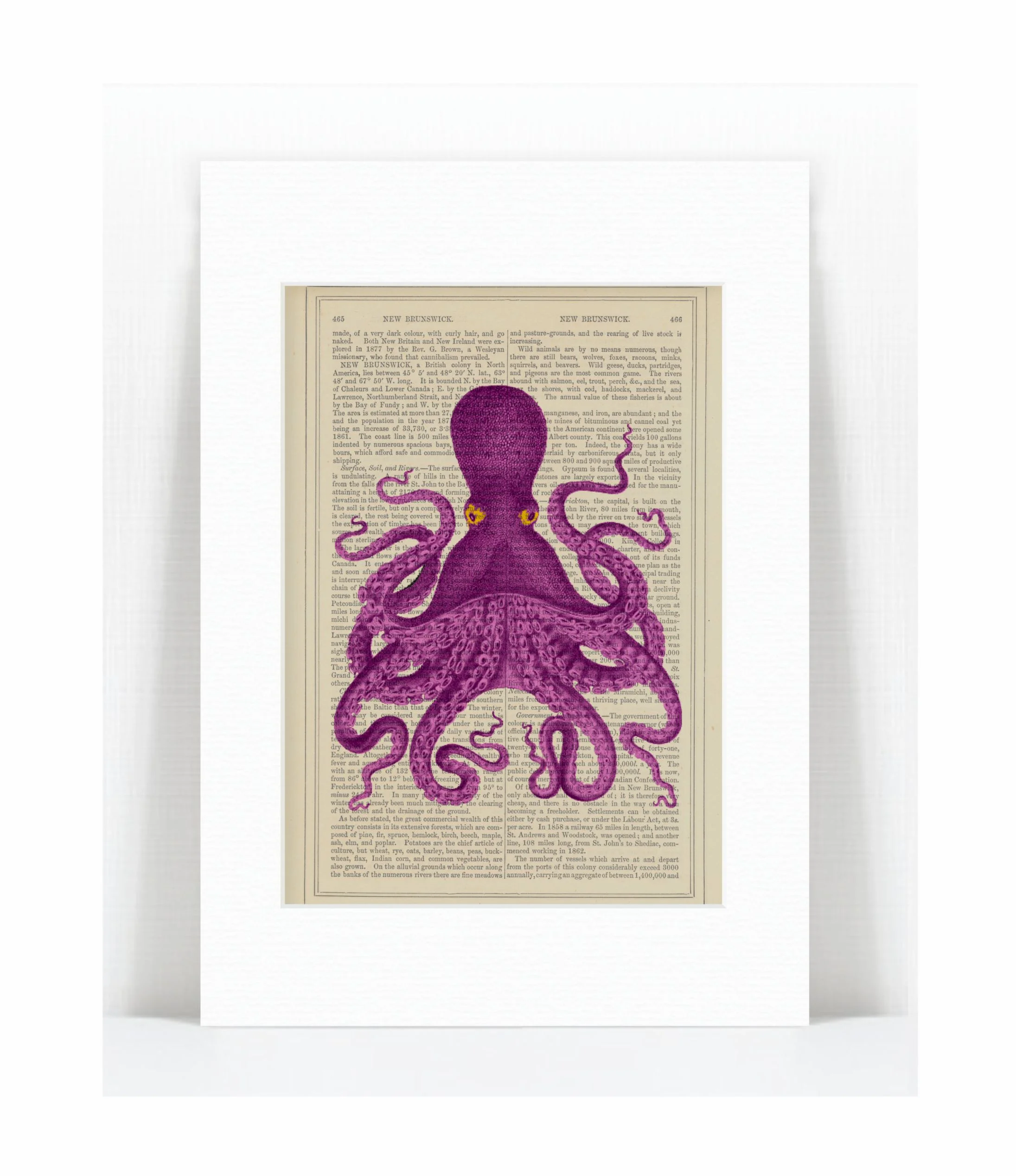 purple octopus.jpg