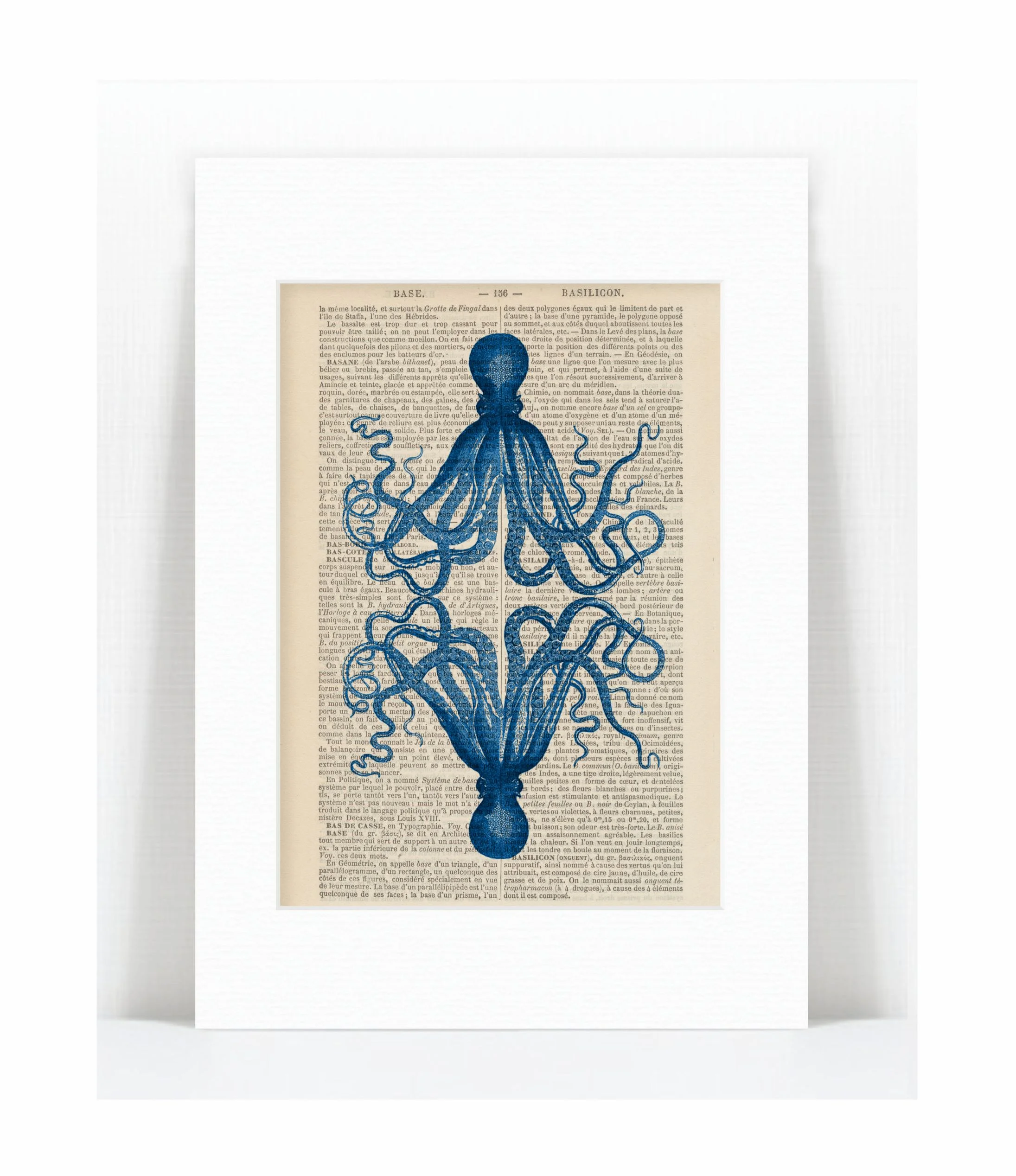 blue mirror octopus.jpg