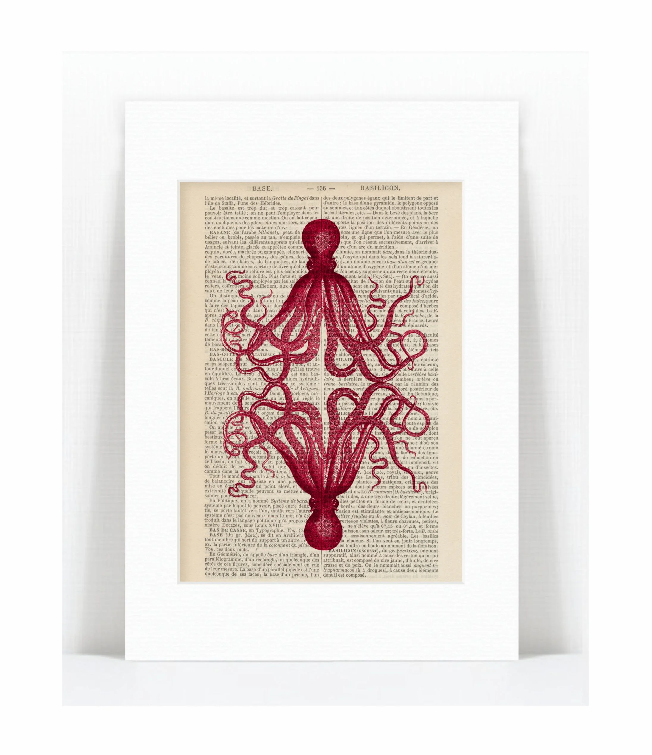 red mirror octopus.jpg