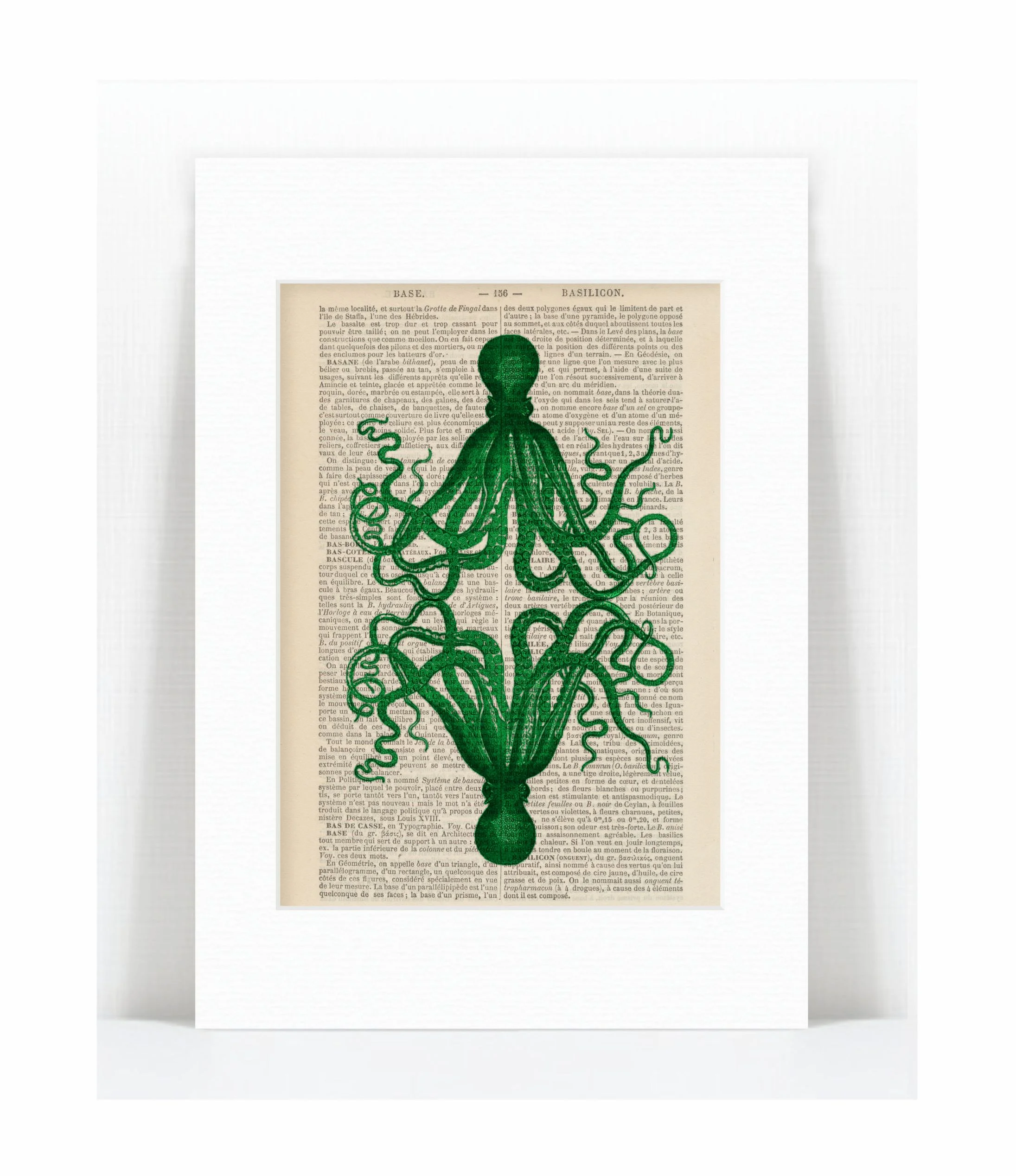 green mirror octopus.jpg