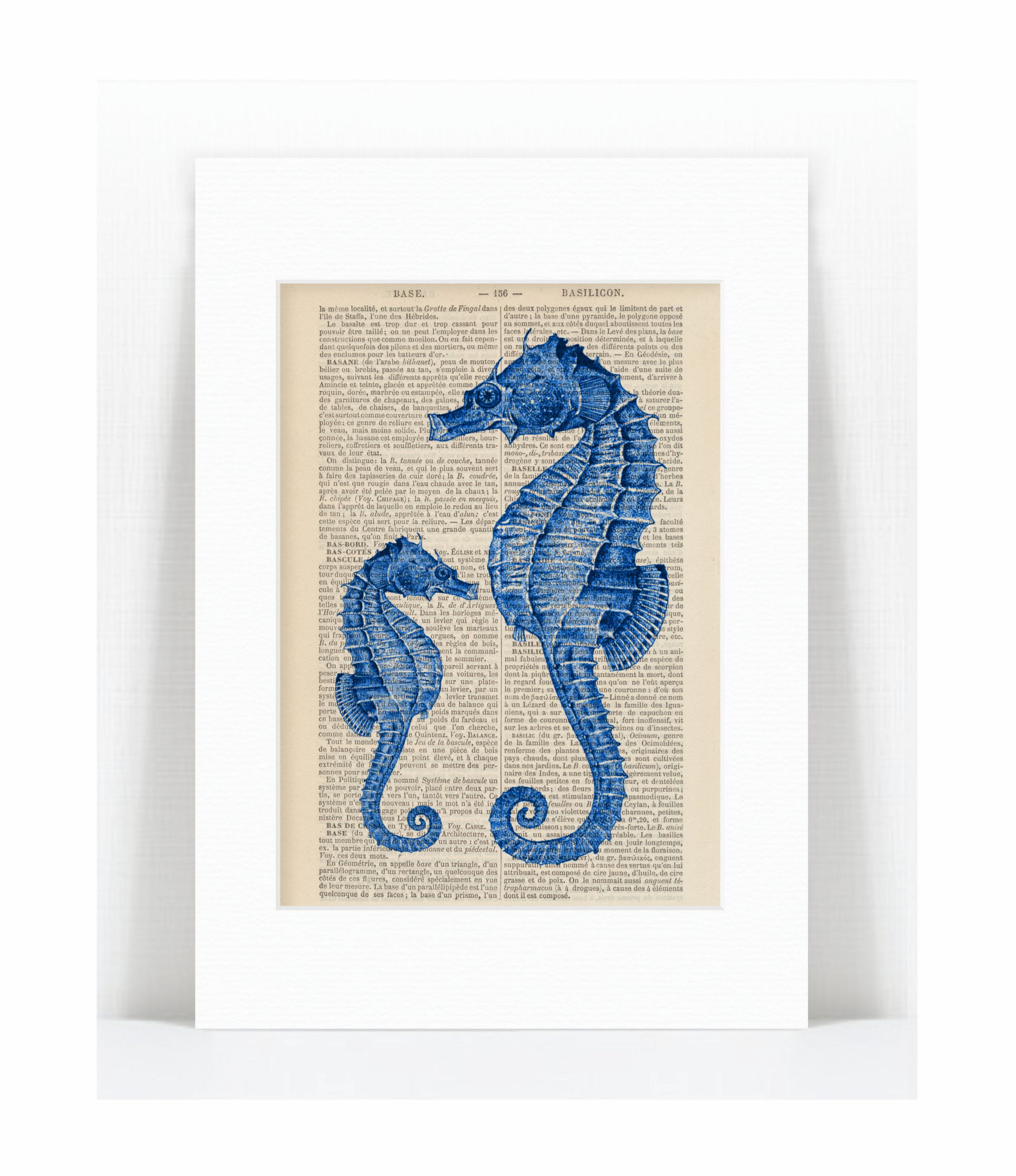 blue seahorses.jpg
