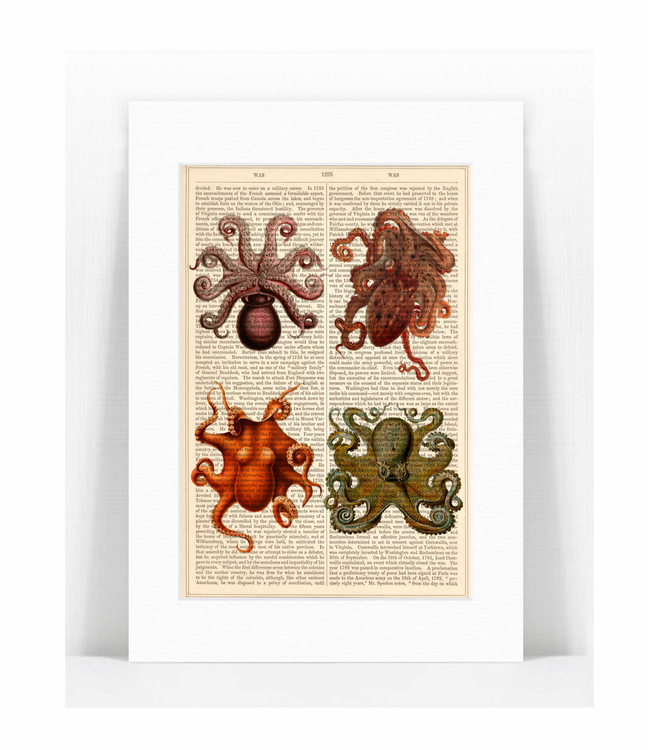 4 octopus.jpg