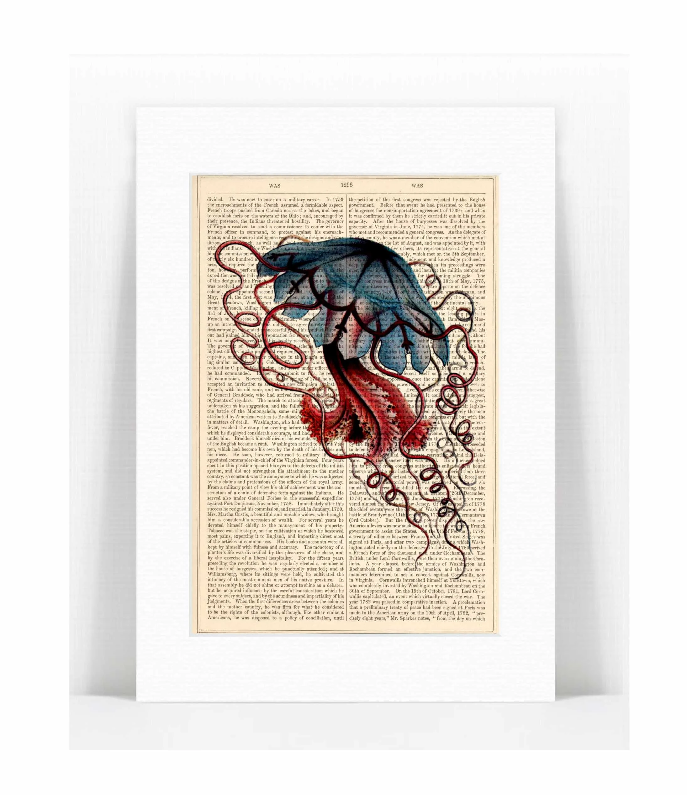 jellyfish Ernst Haeckel 3.jpg