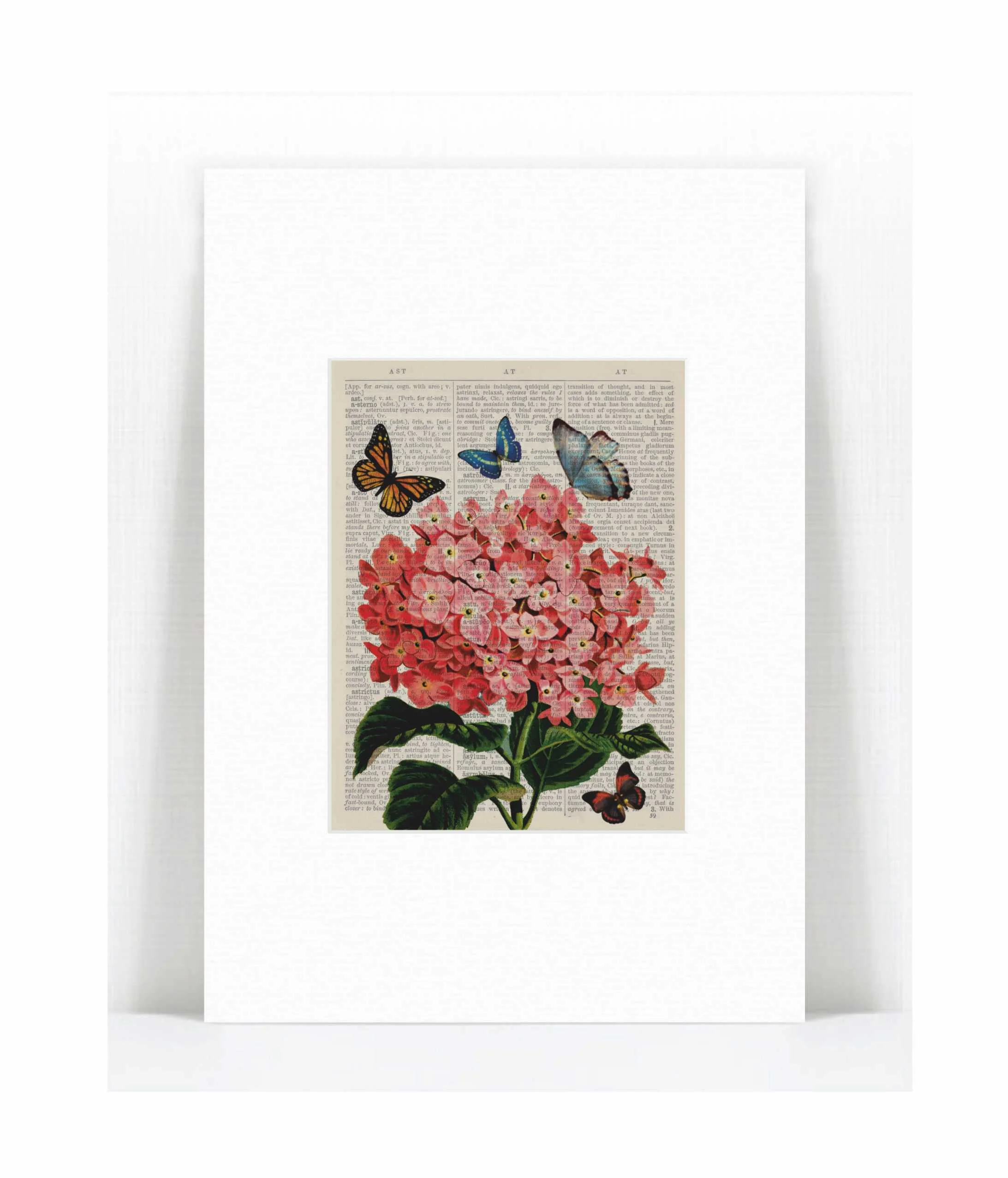 hydrangia butterflies.jpg