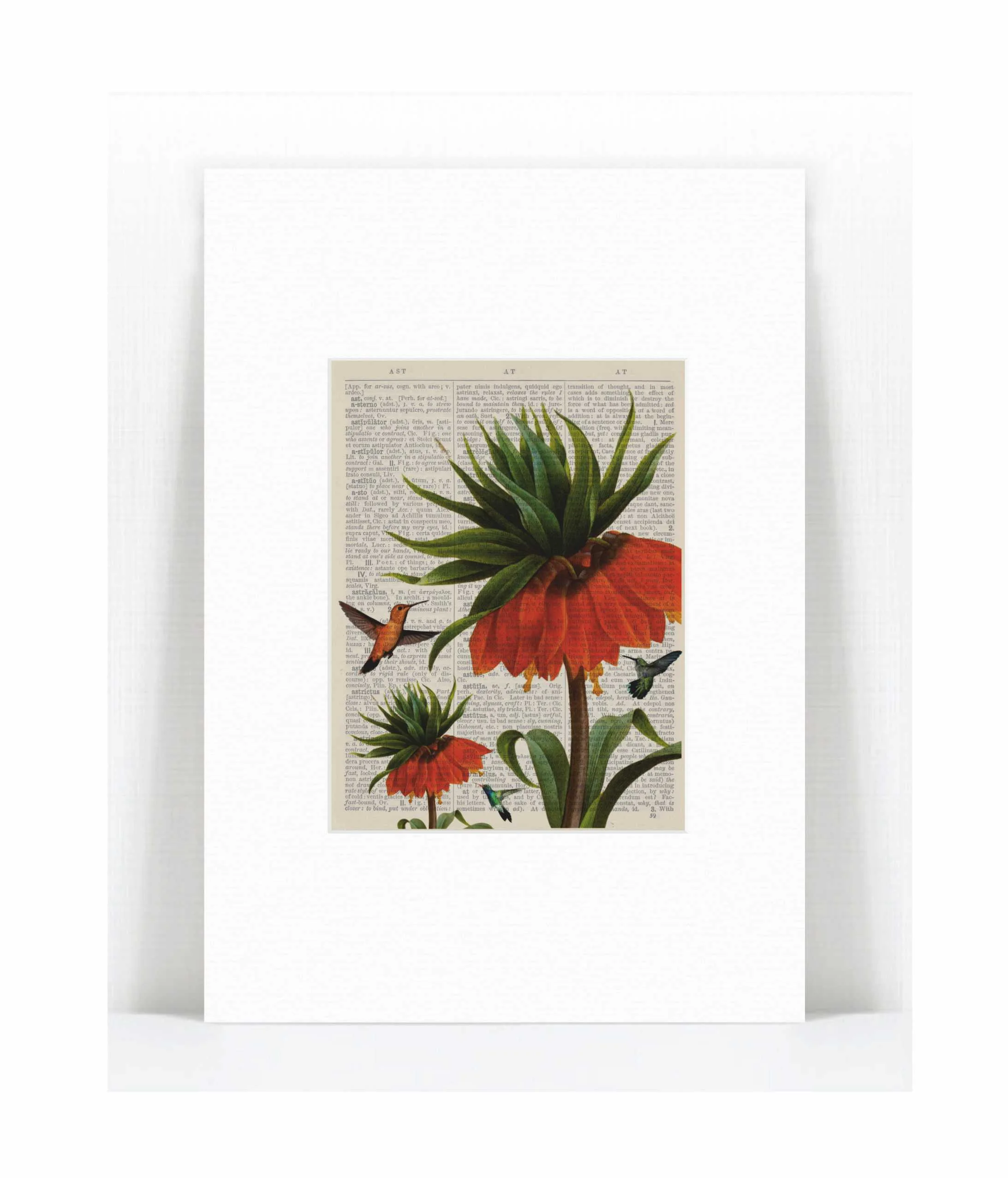 red flower hummingbird.jpg