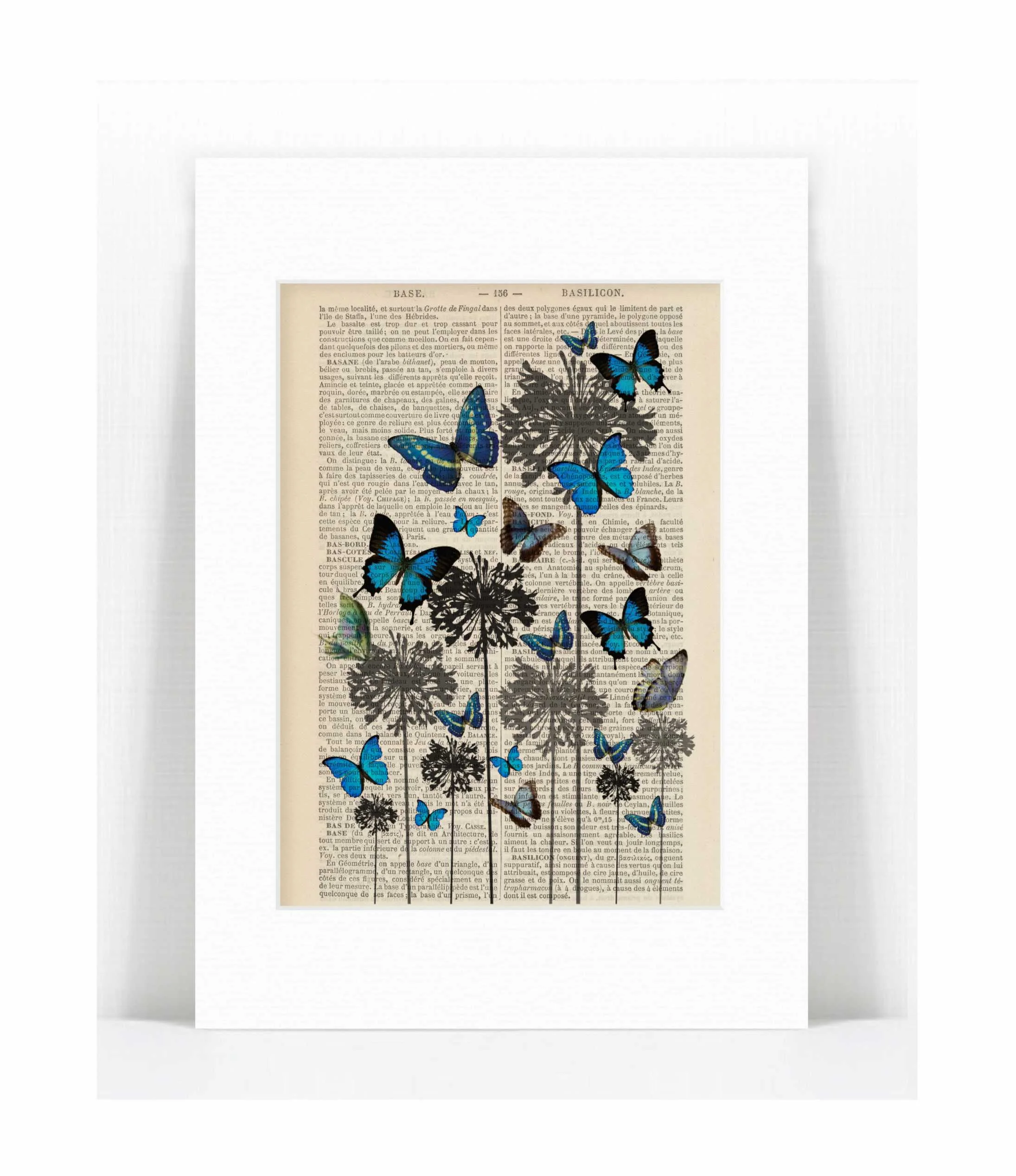 grey flowers blue butterflies.jpg