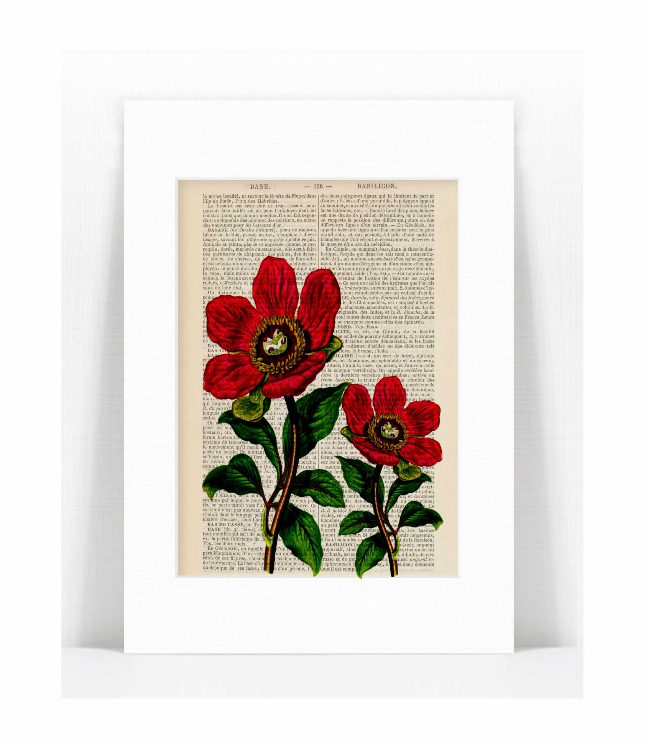 peony.jpg