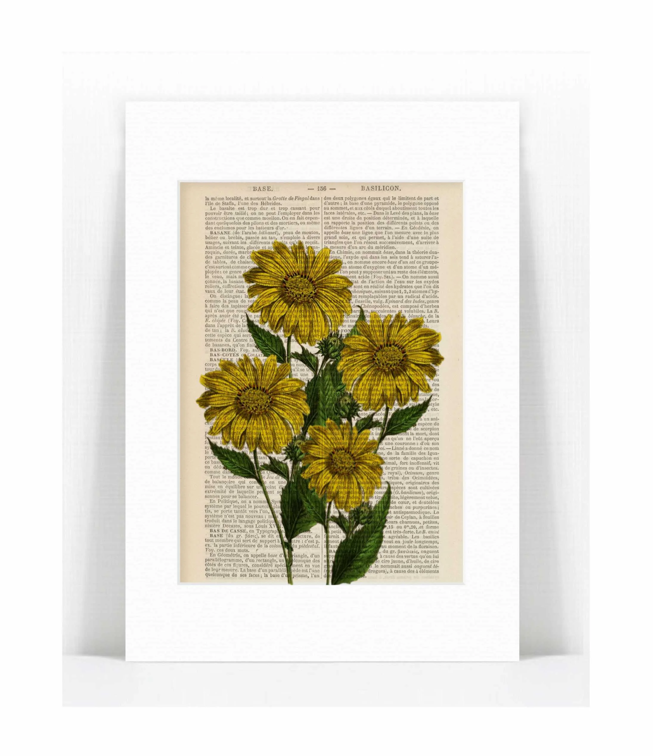 sunflowers.jpg
