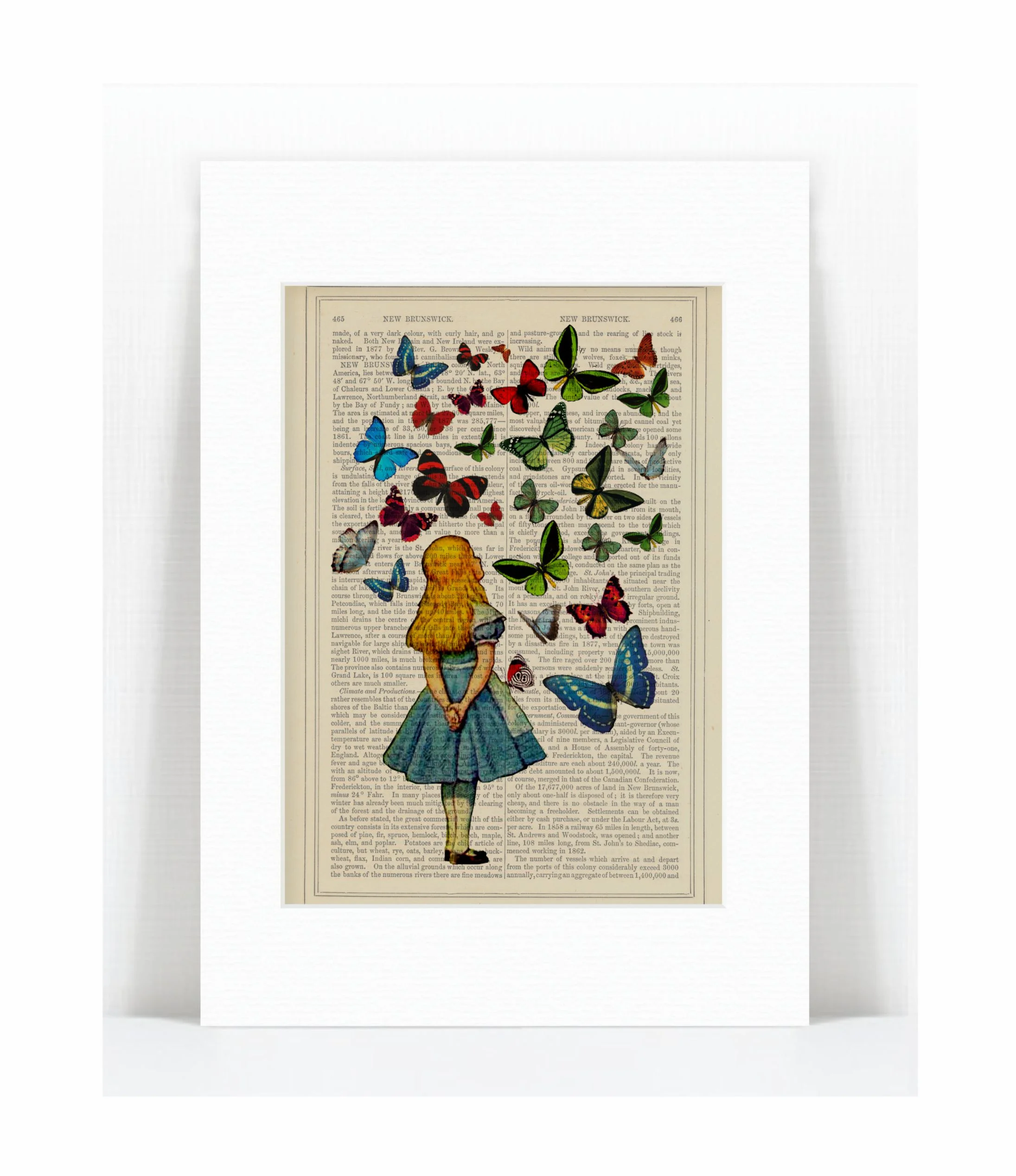 alice  butterflies.jpg