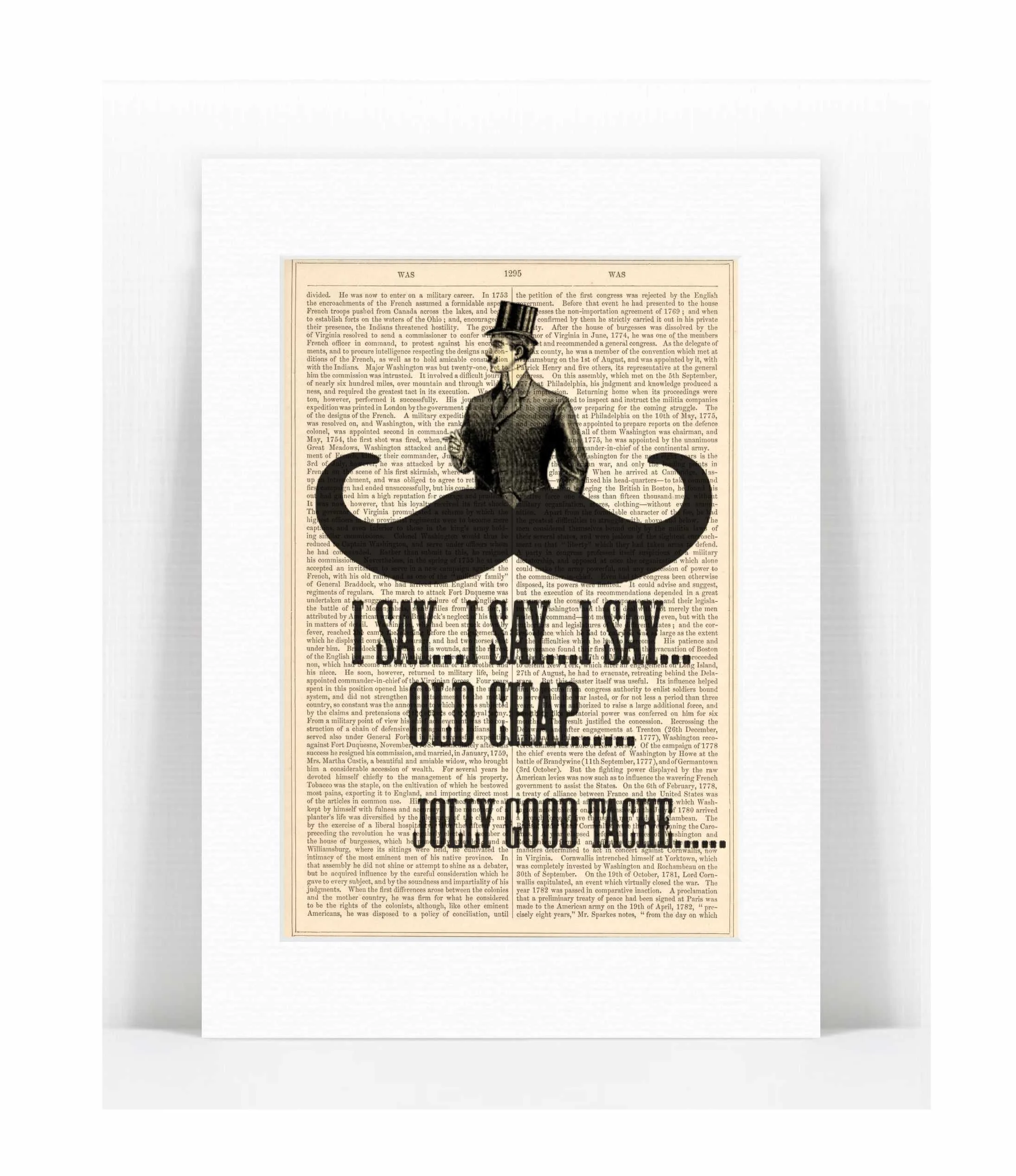 jolly good  tache.jpg