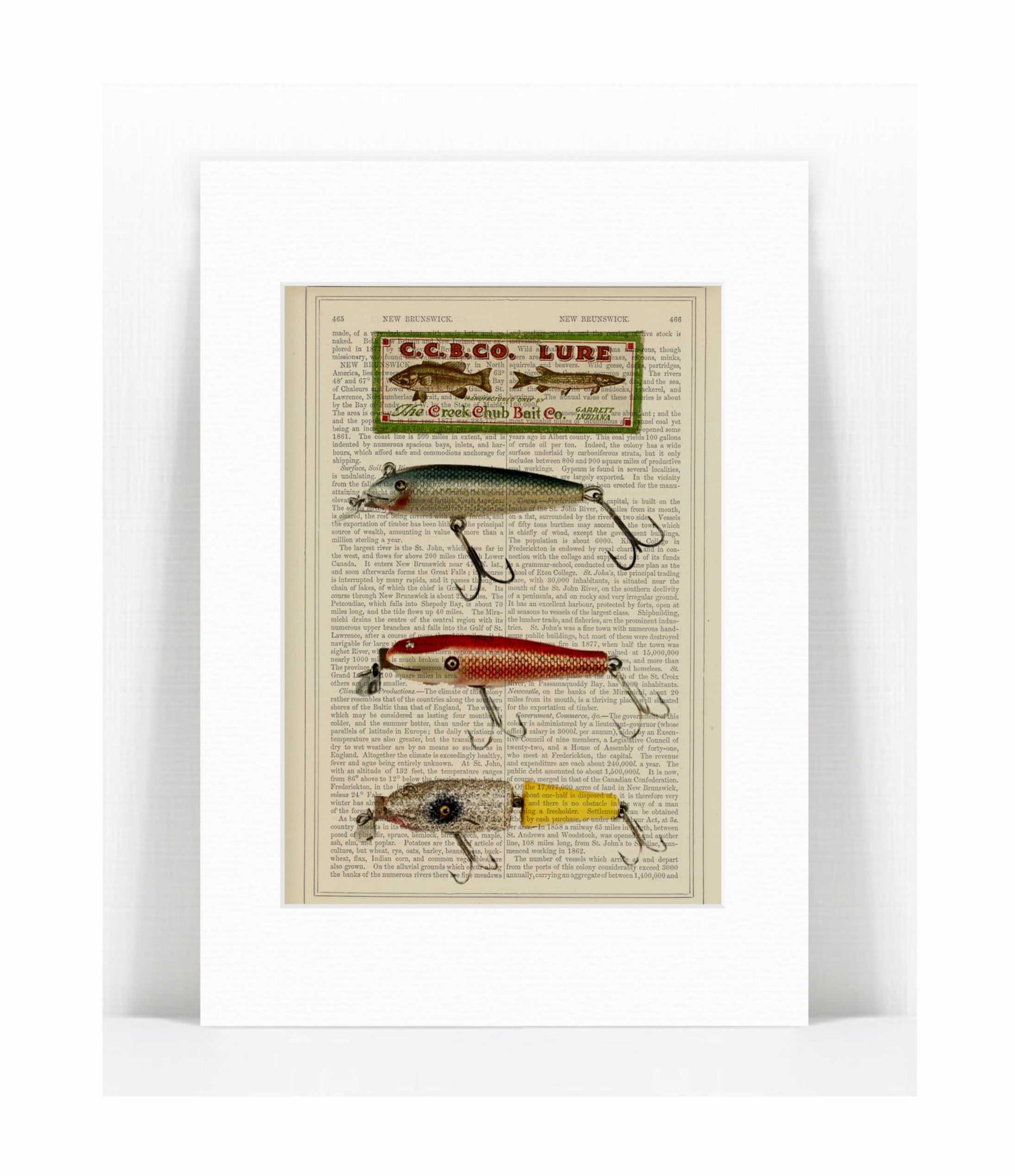 Creek Chub Vintage Fishing Lure Print  PAT BYRNE PRINTS