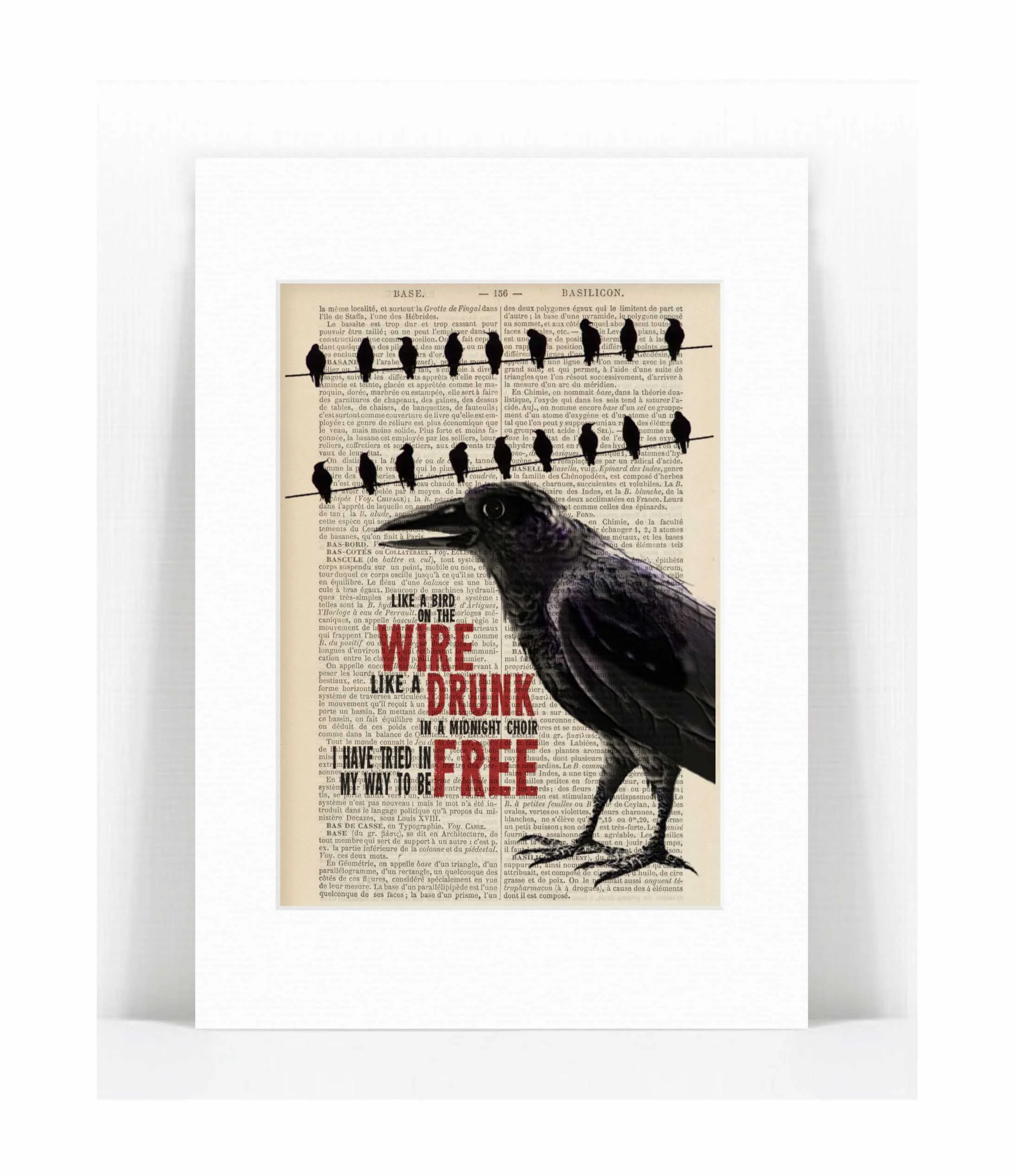 lc bird on the wire.jpg
