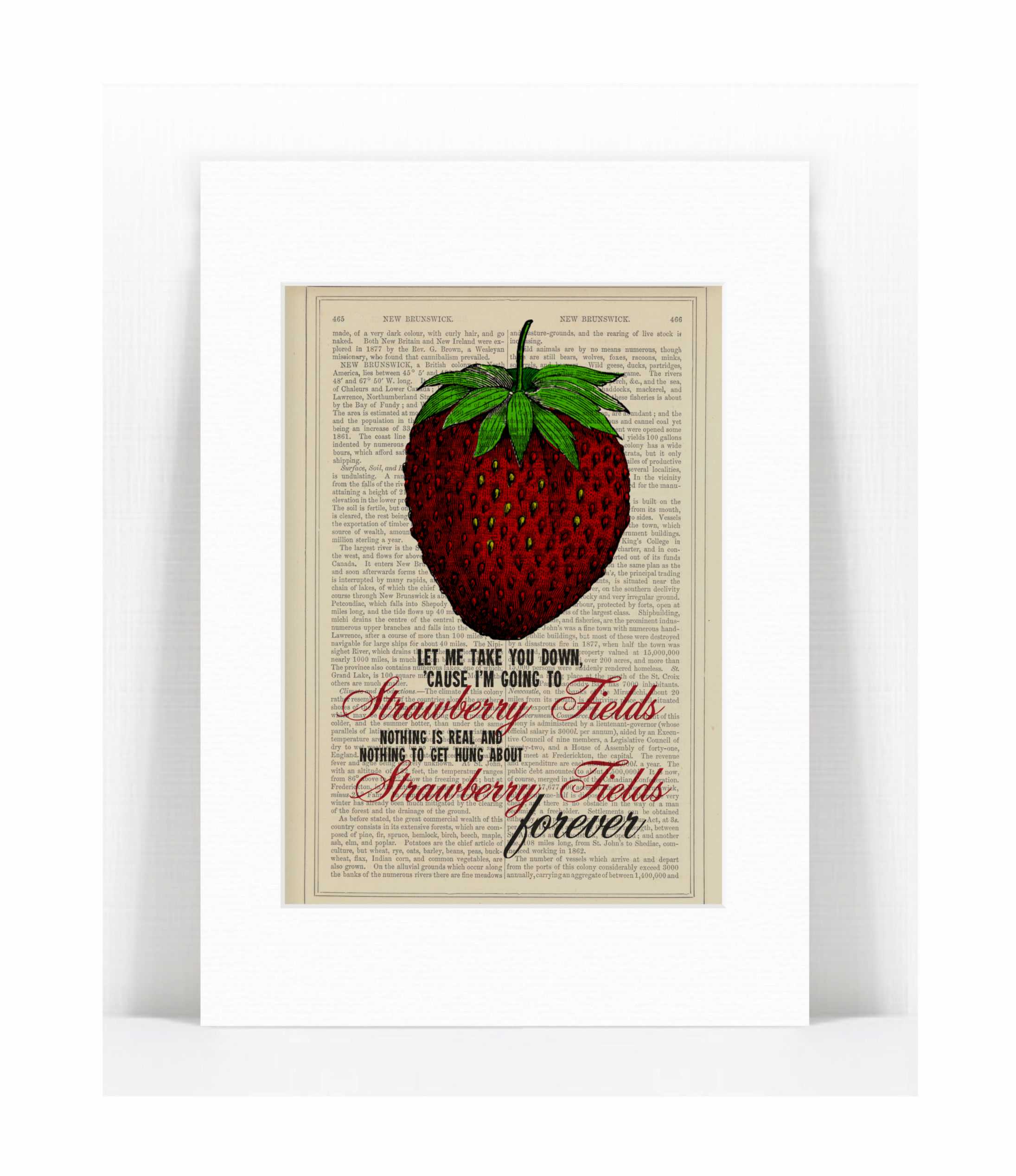 strawberry fiels forever.jpg