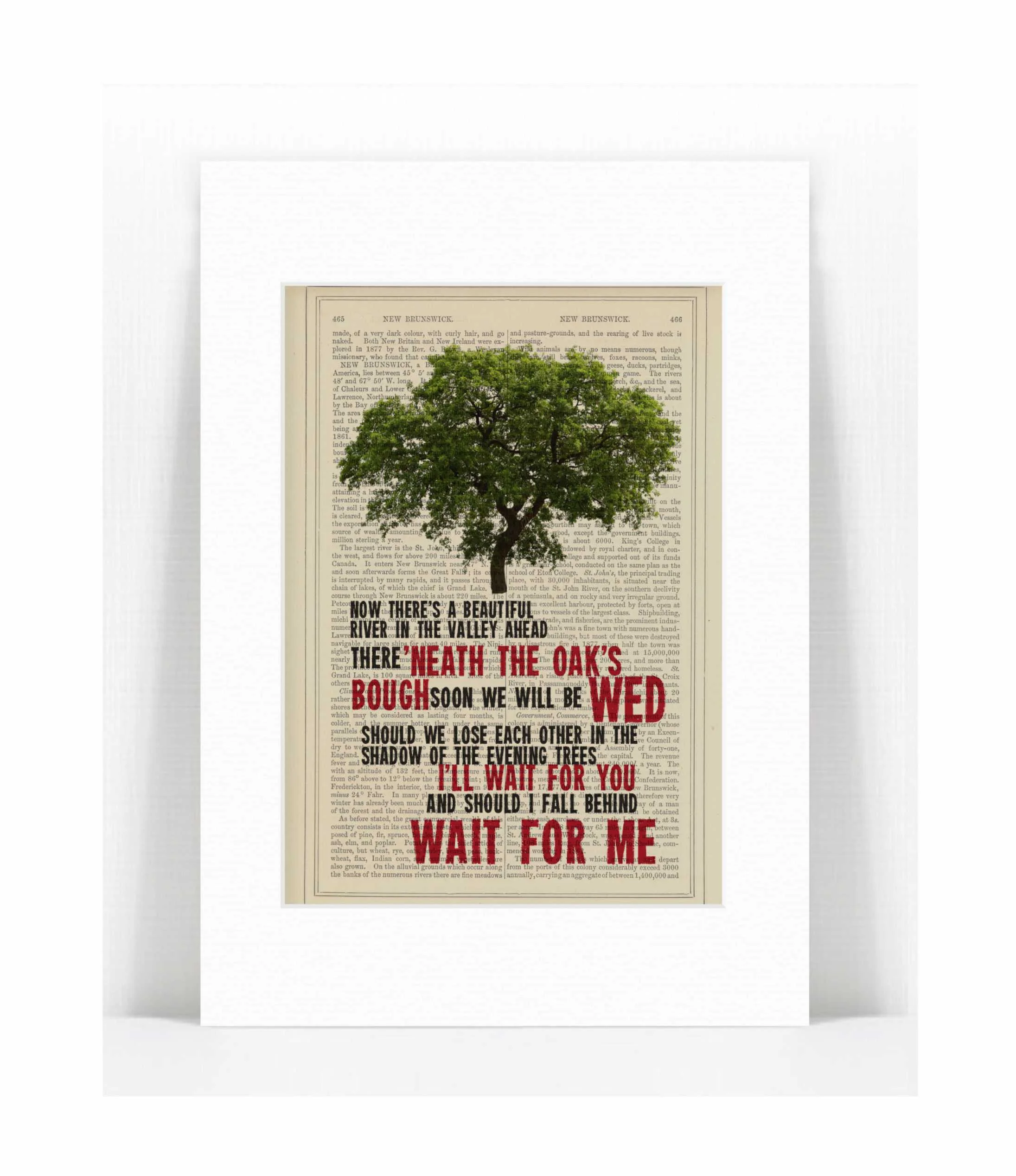 wait for me tree.jpg