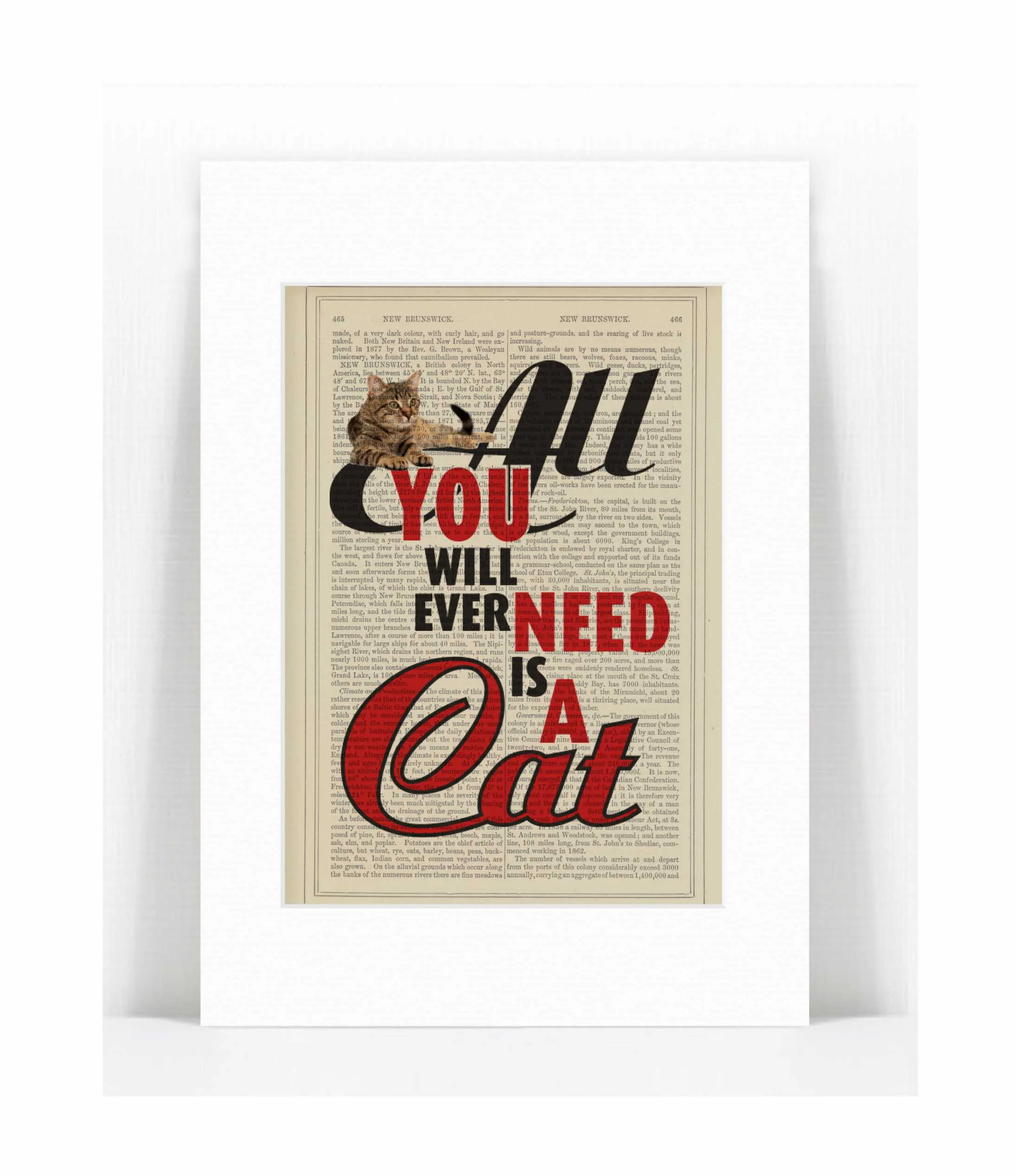 all you need is a cat.jpg