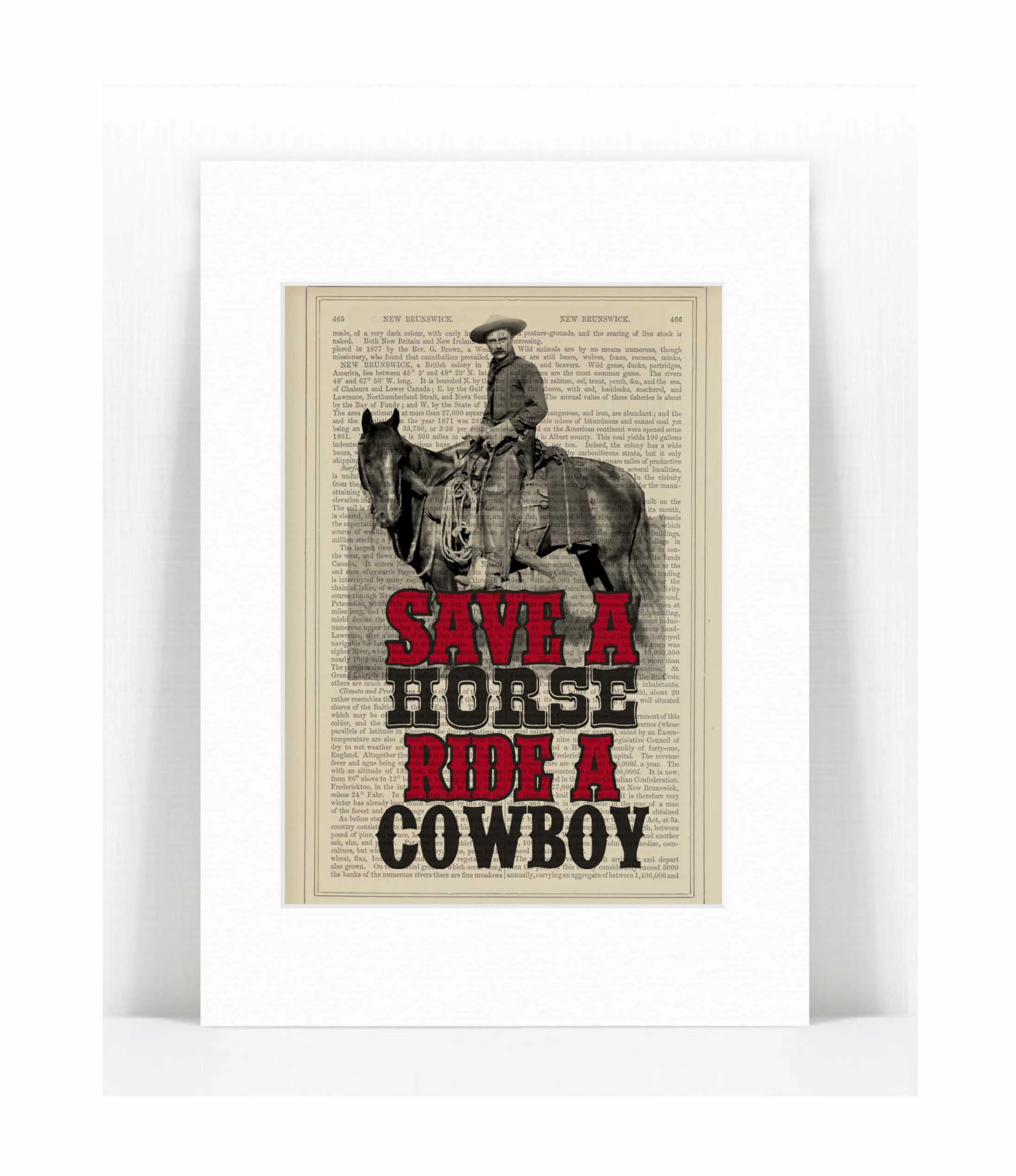 save a horse ride a cowboy.jpg