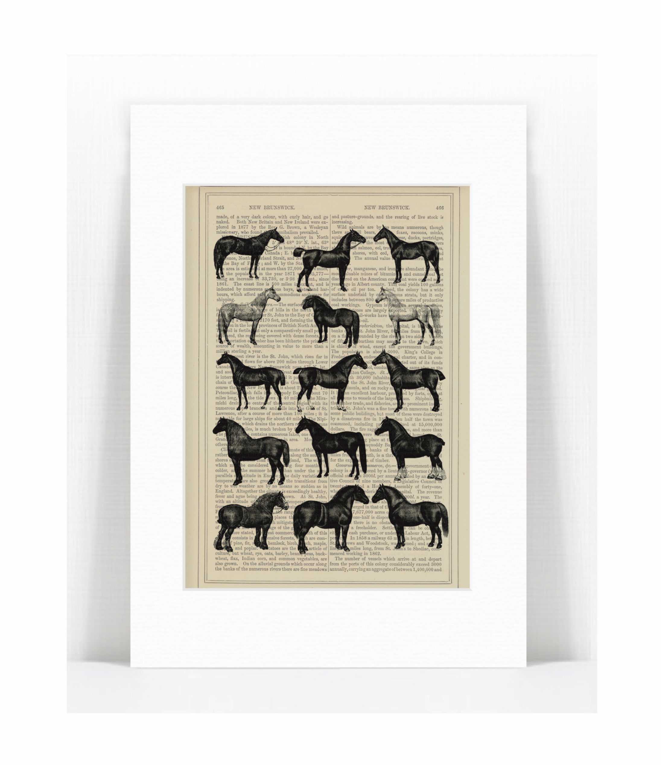horses.jpg